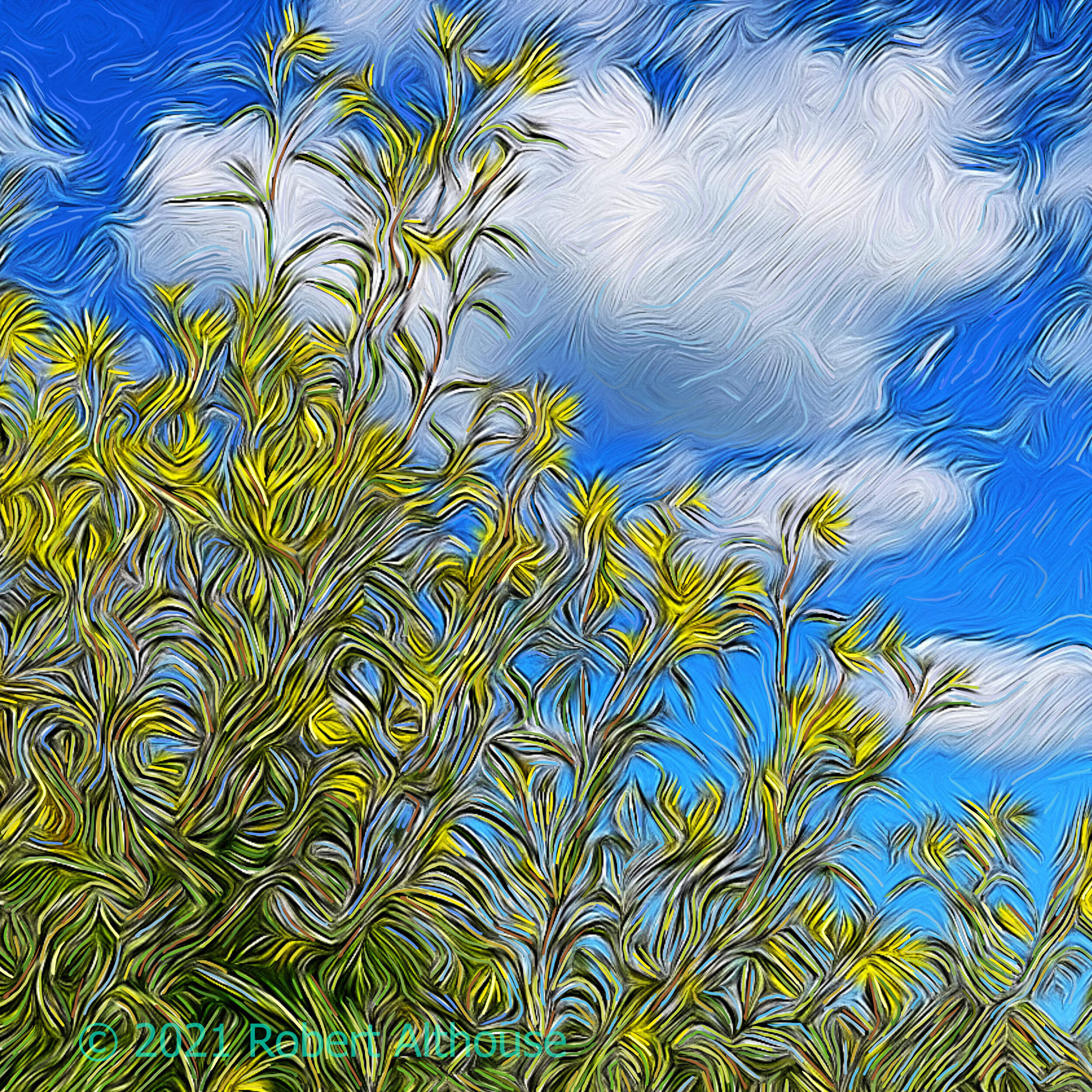 THE INNER HISTORY OF A DAY by John O'Donohue No one knew the name of this day; Born quietly from deepest night, It hid its face in light, Demanded nothing for itself, Opened out to offer each of us A field of brightness that traveled ahead,
