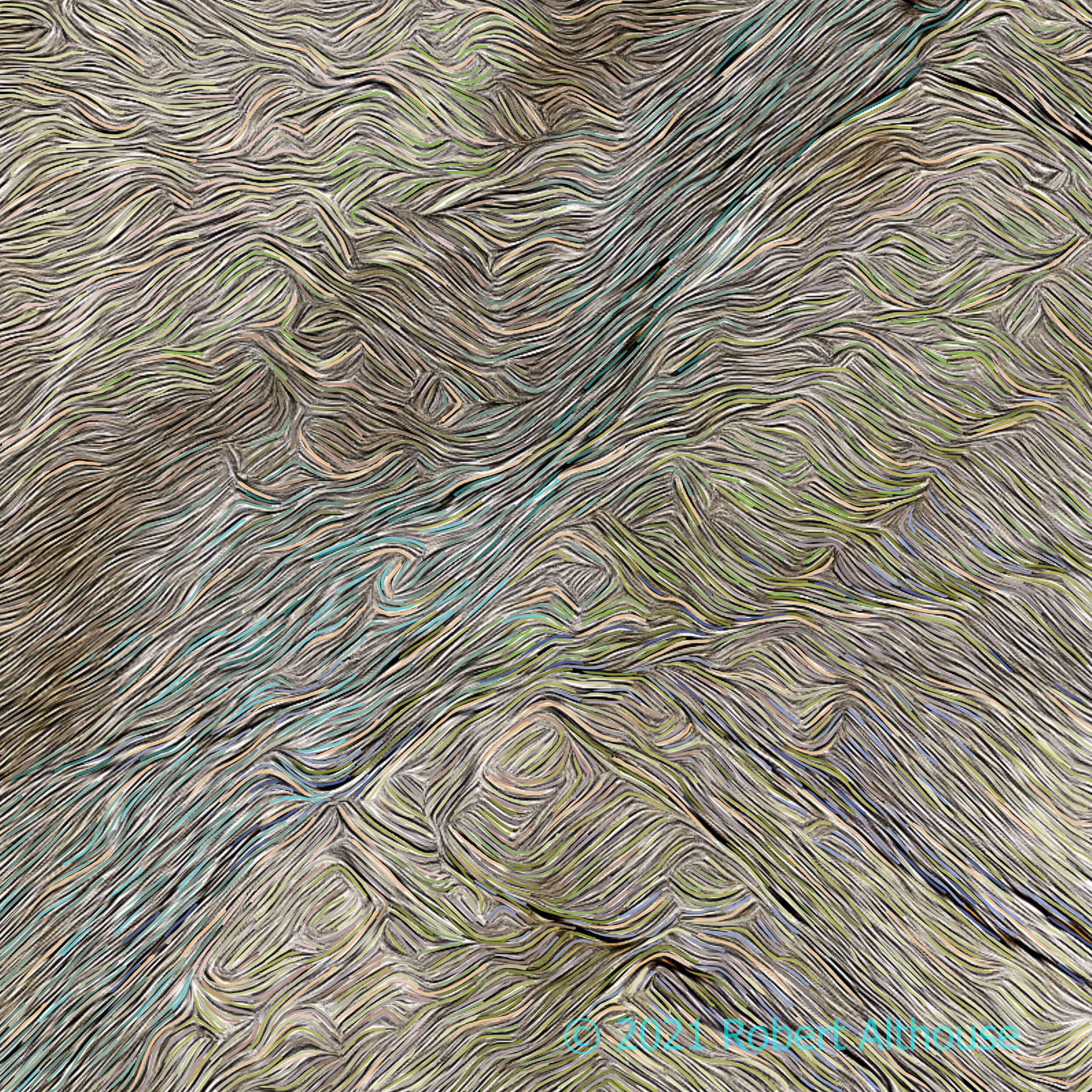 19_002-web-ps.jpg
