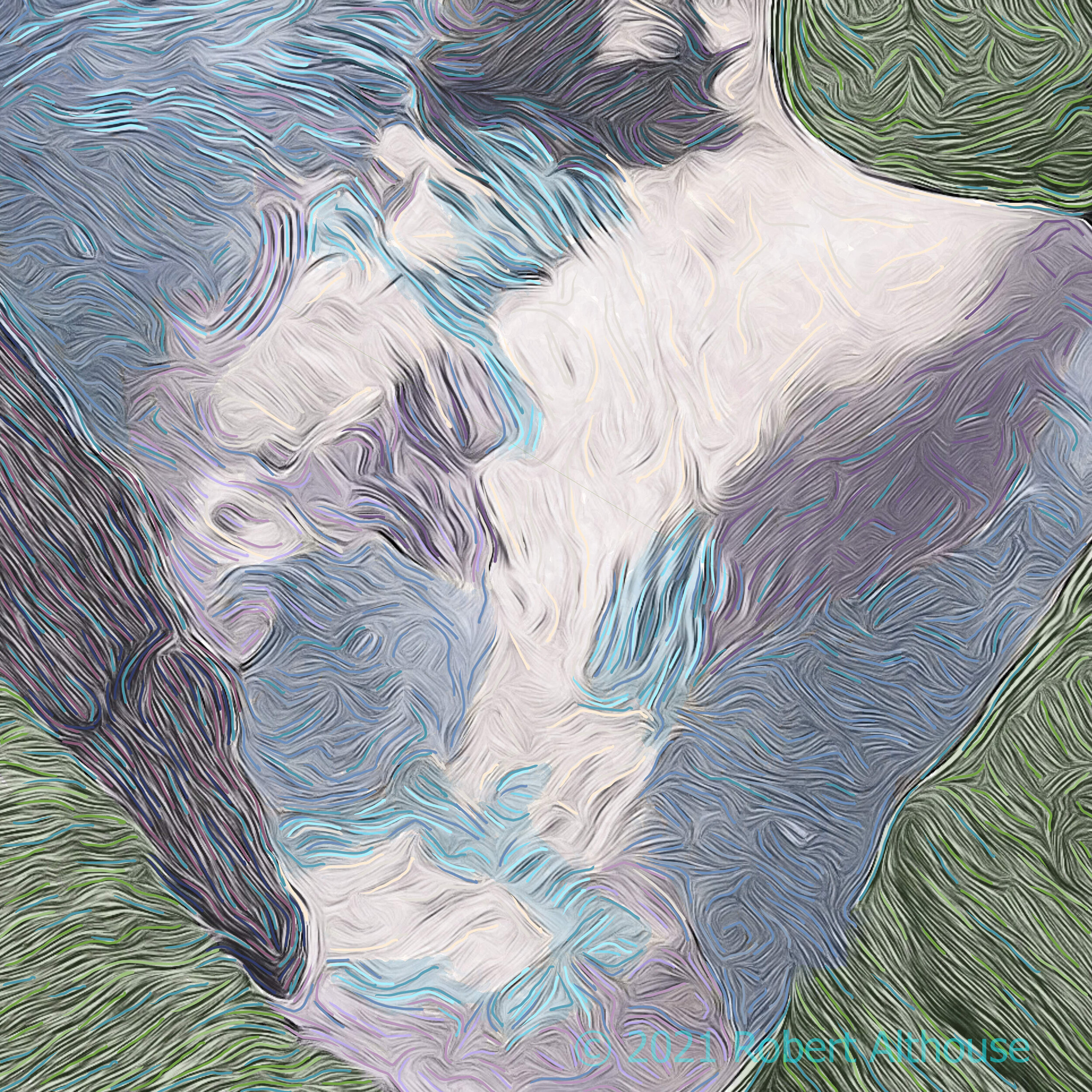 11_001-web-ps.jpg