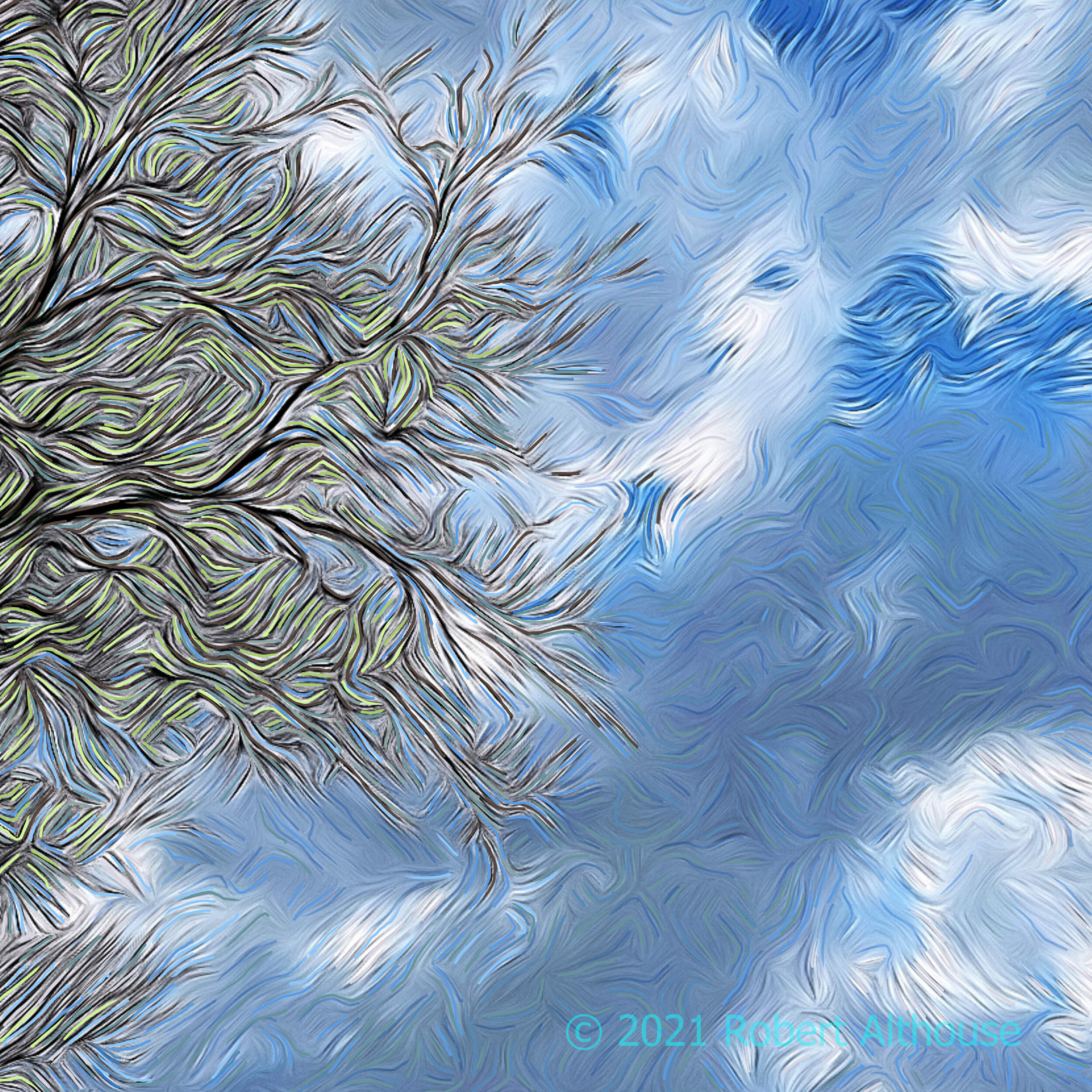 07_001-web-ps.jpg
