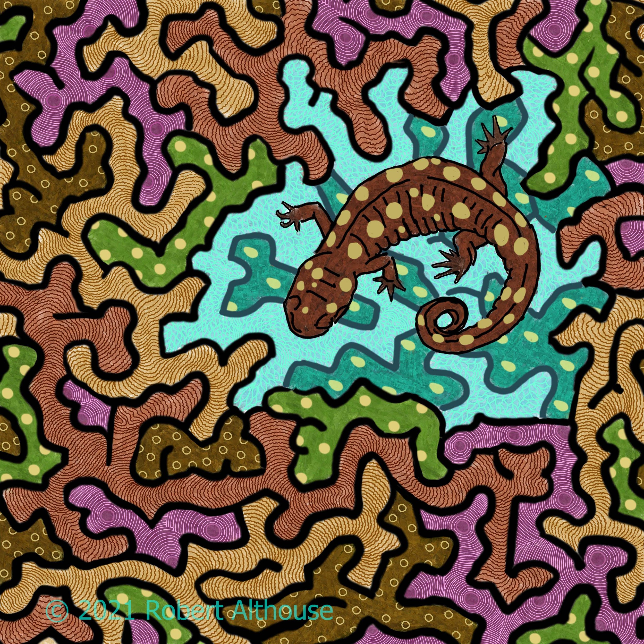 61-web-ps.jpg