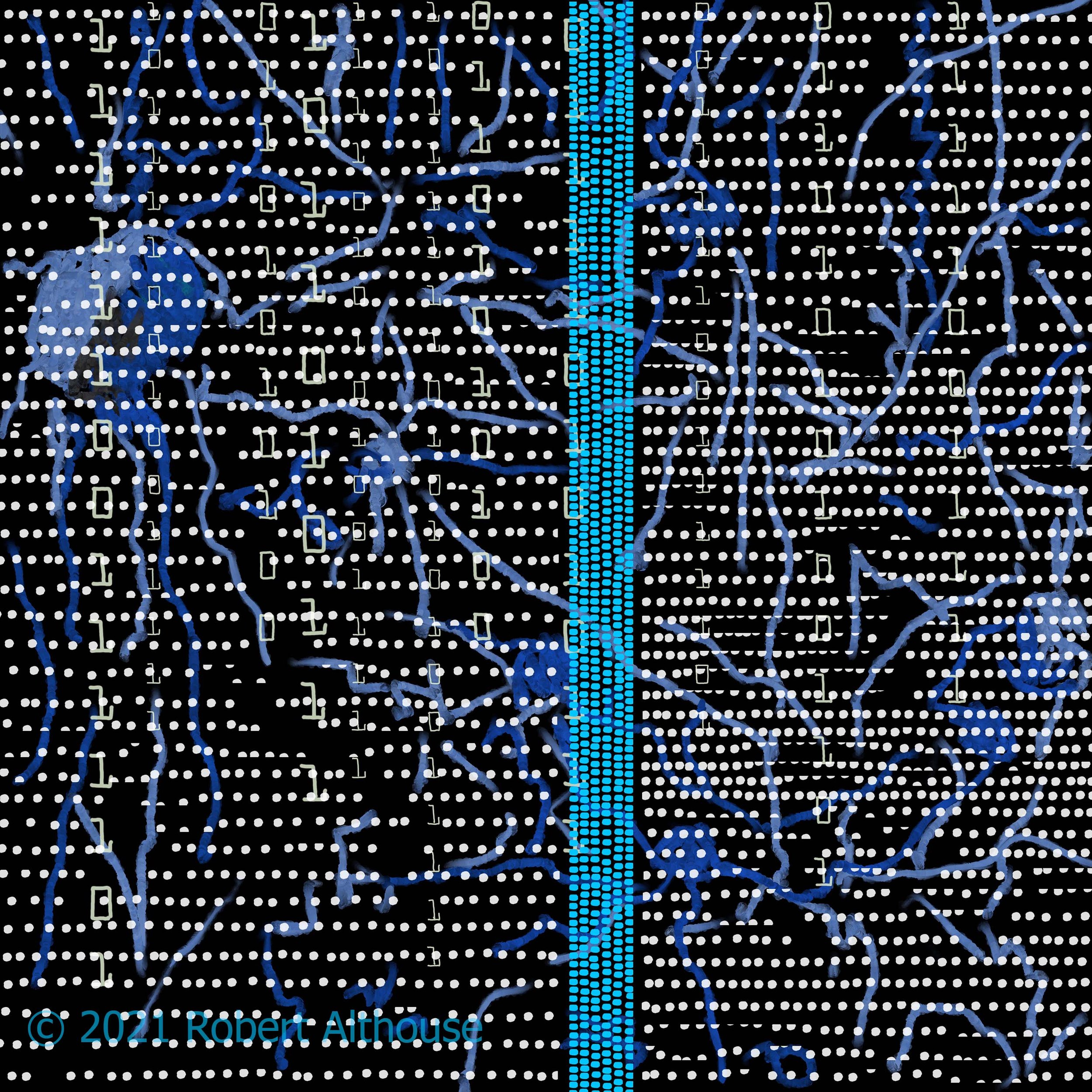 31-web-ps.jpg