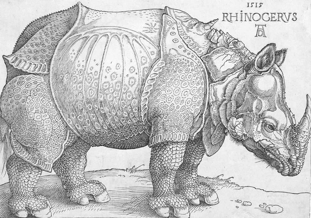 Albrecht Dürer, The Rhinoceros , 1515, woodcut