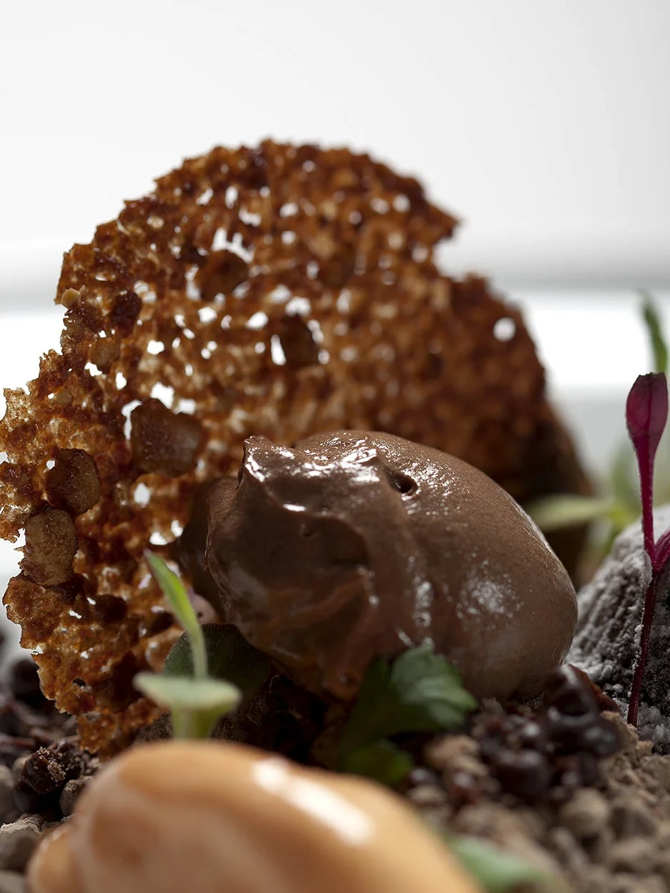 Texturas de chocolate com gelado de verduras - 2013