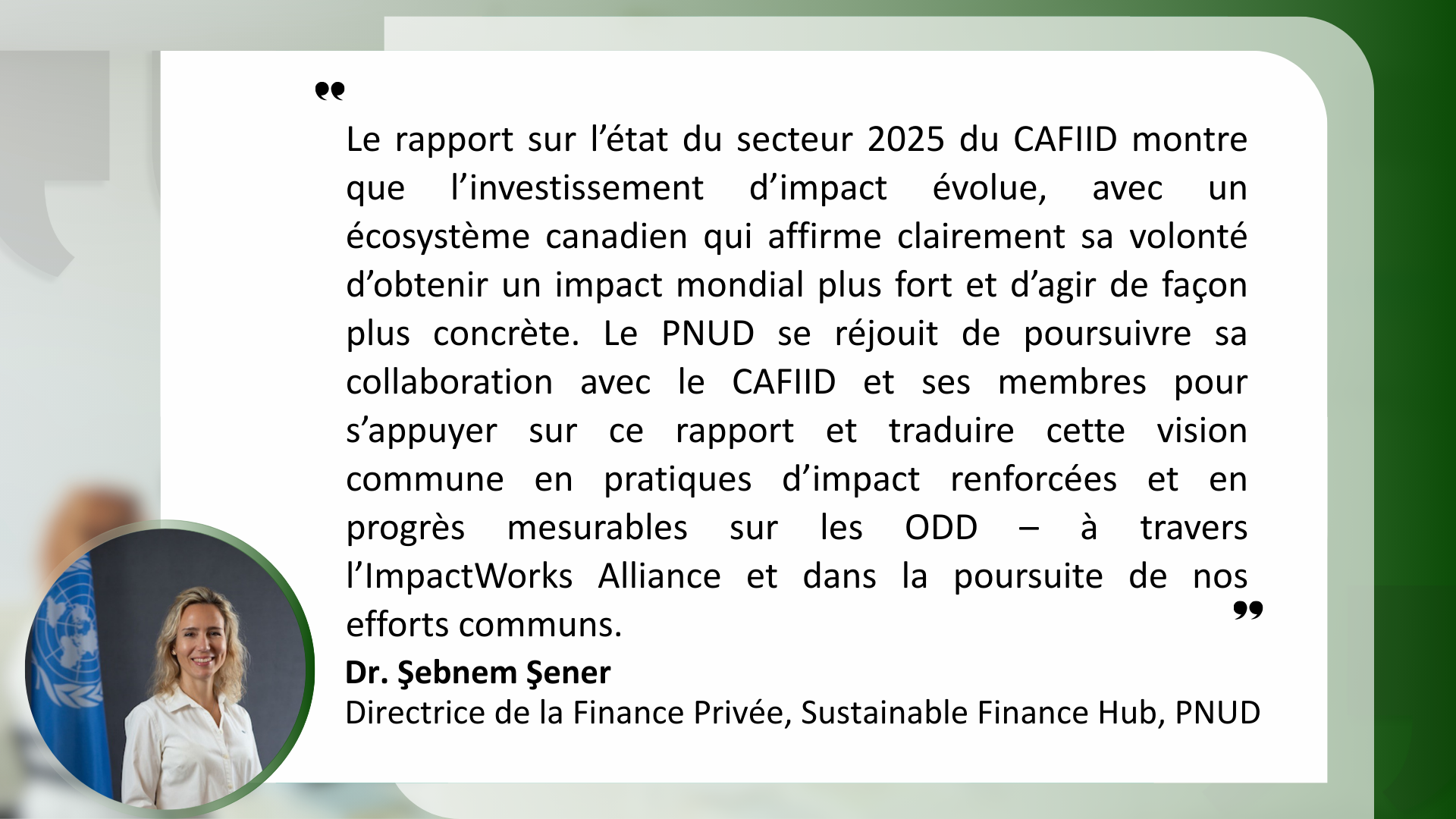 UNDP - FR.png