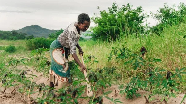 Breaking Barriers in the Field: How Good Nature Agro is Boosting Women’s Leadership in Agricultural Extension
