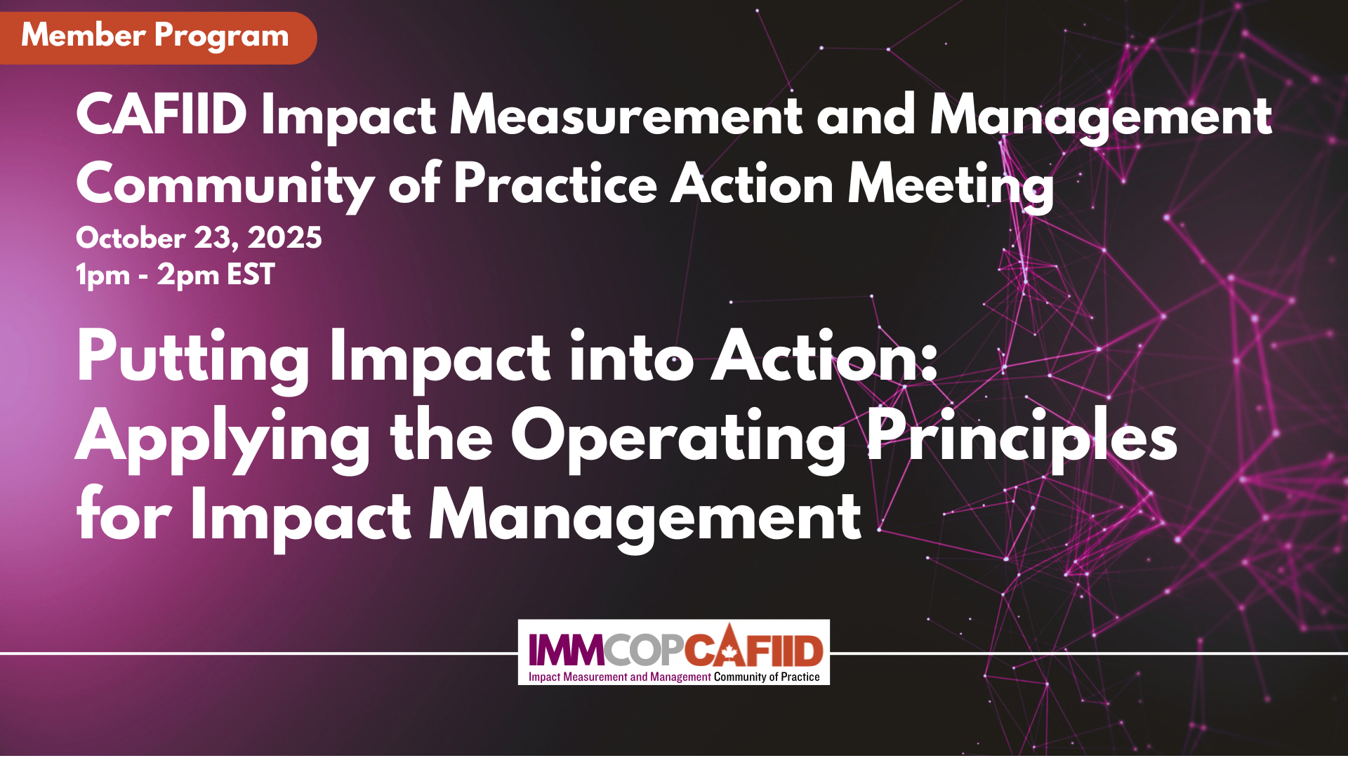 Putting Impact into Action: Applying the Operating Principles for Impact Management