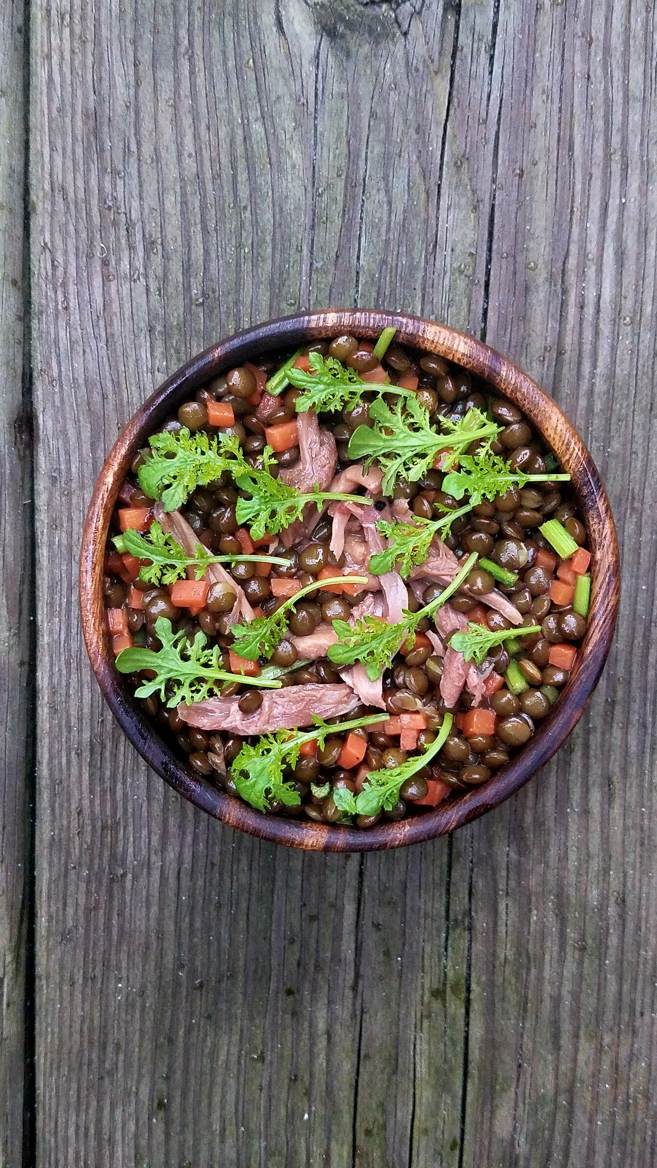 Squab and Lentils.jpg