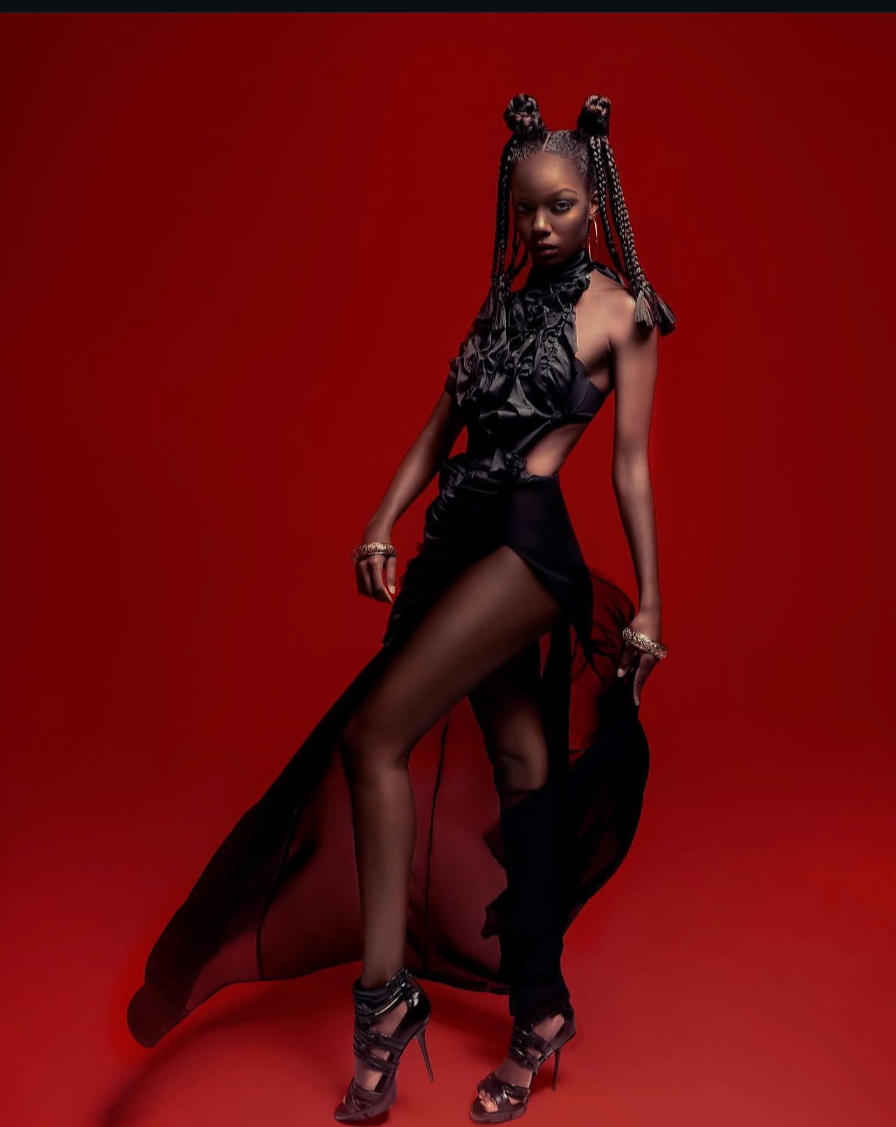 Editorial braided hair design by Kanika Styles