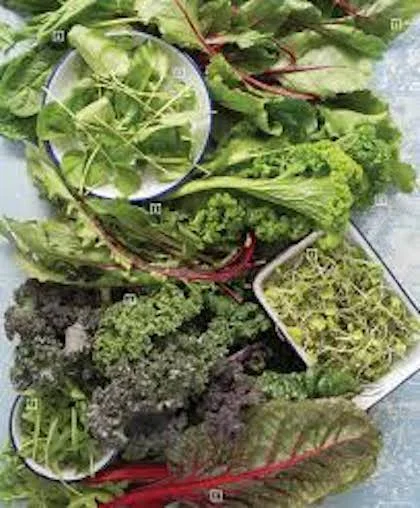 Summer greens!