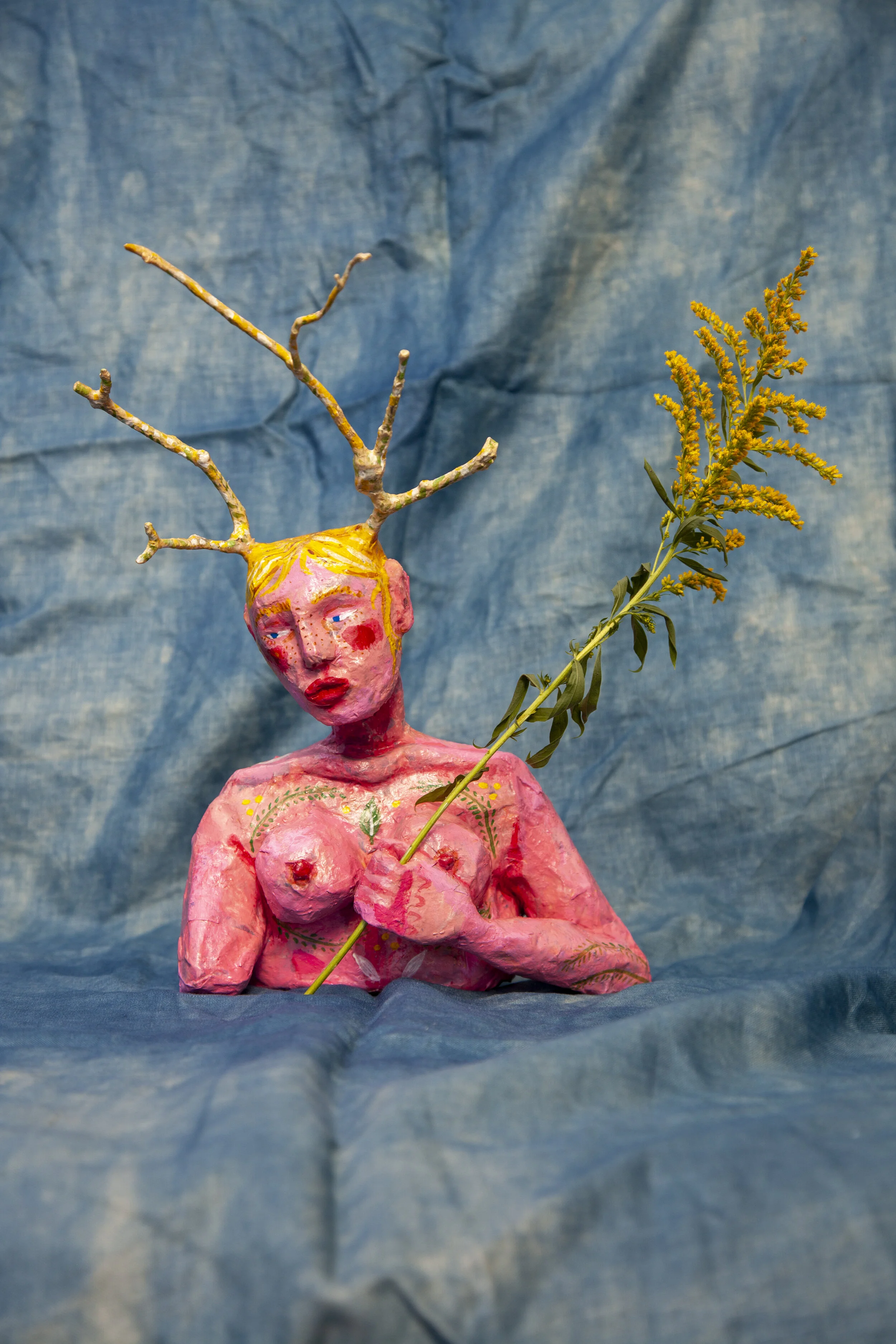 Mimosa Dryad - May 2020