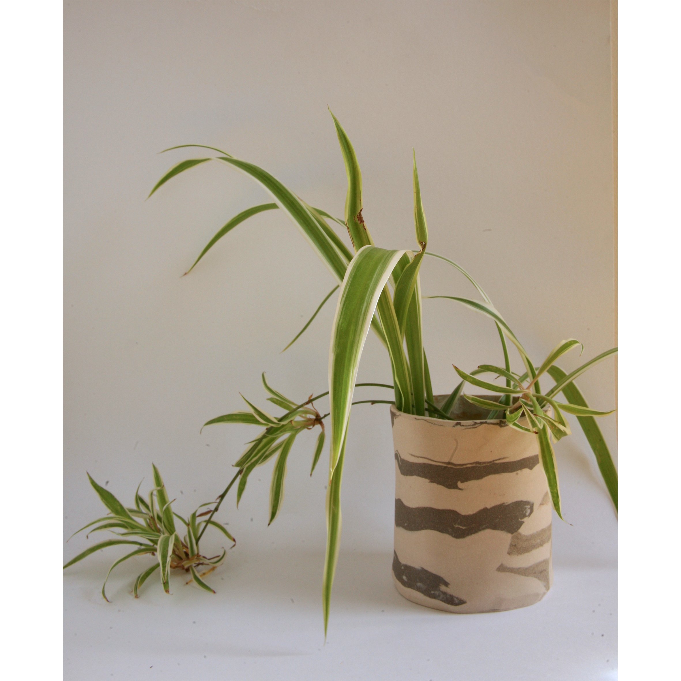 1 marble pot.jpg