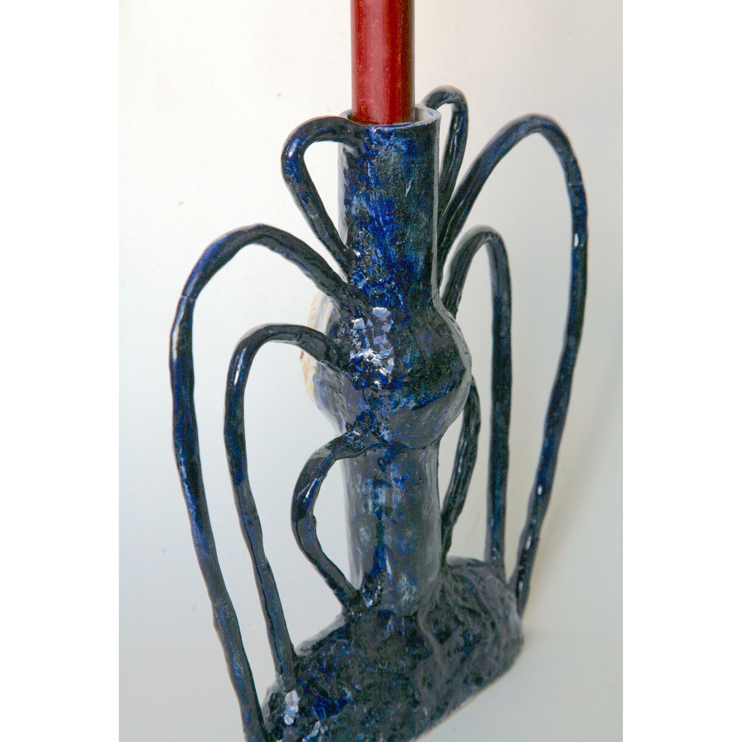 blue spider 8.jpg