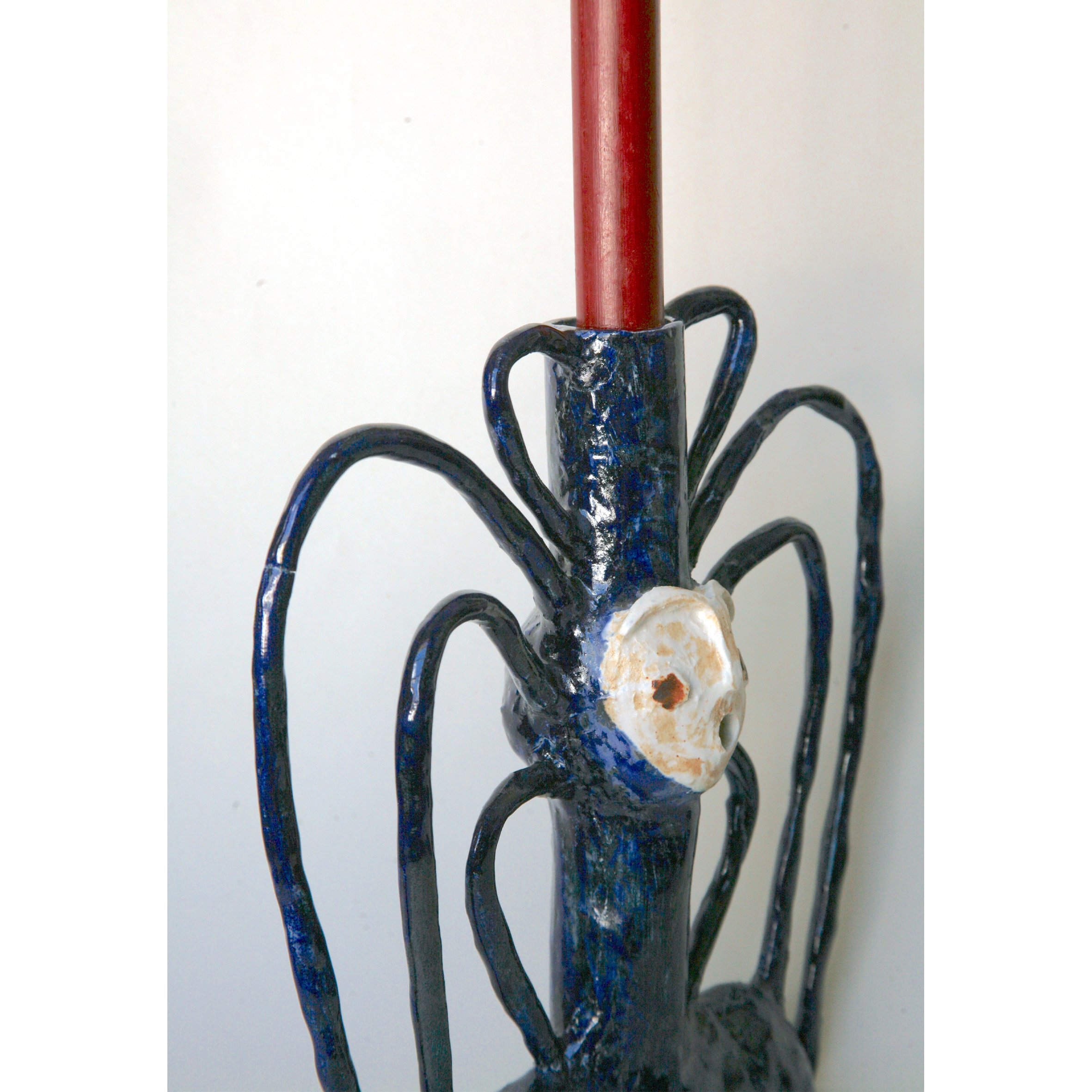 blue spider 3.jpg