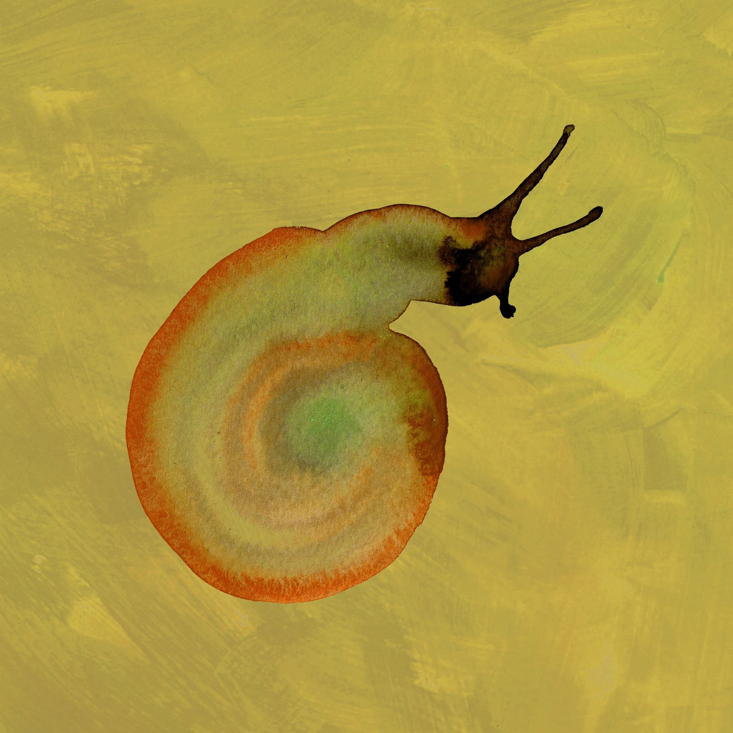snail1.4.jpg