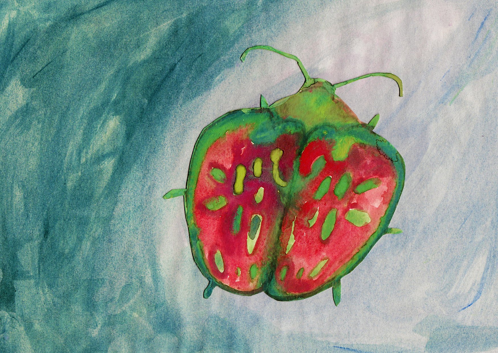 watermelon beetle.jpg