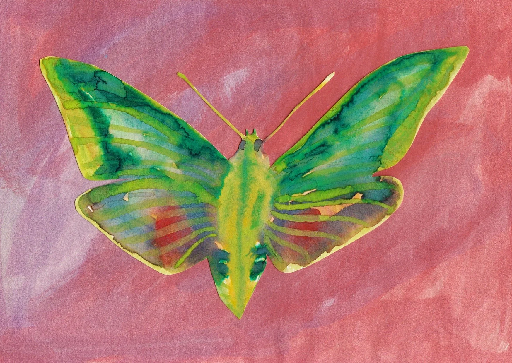green moth copy.jpg
