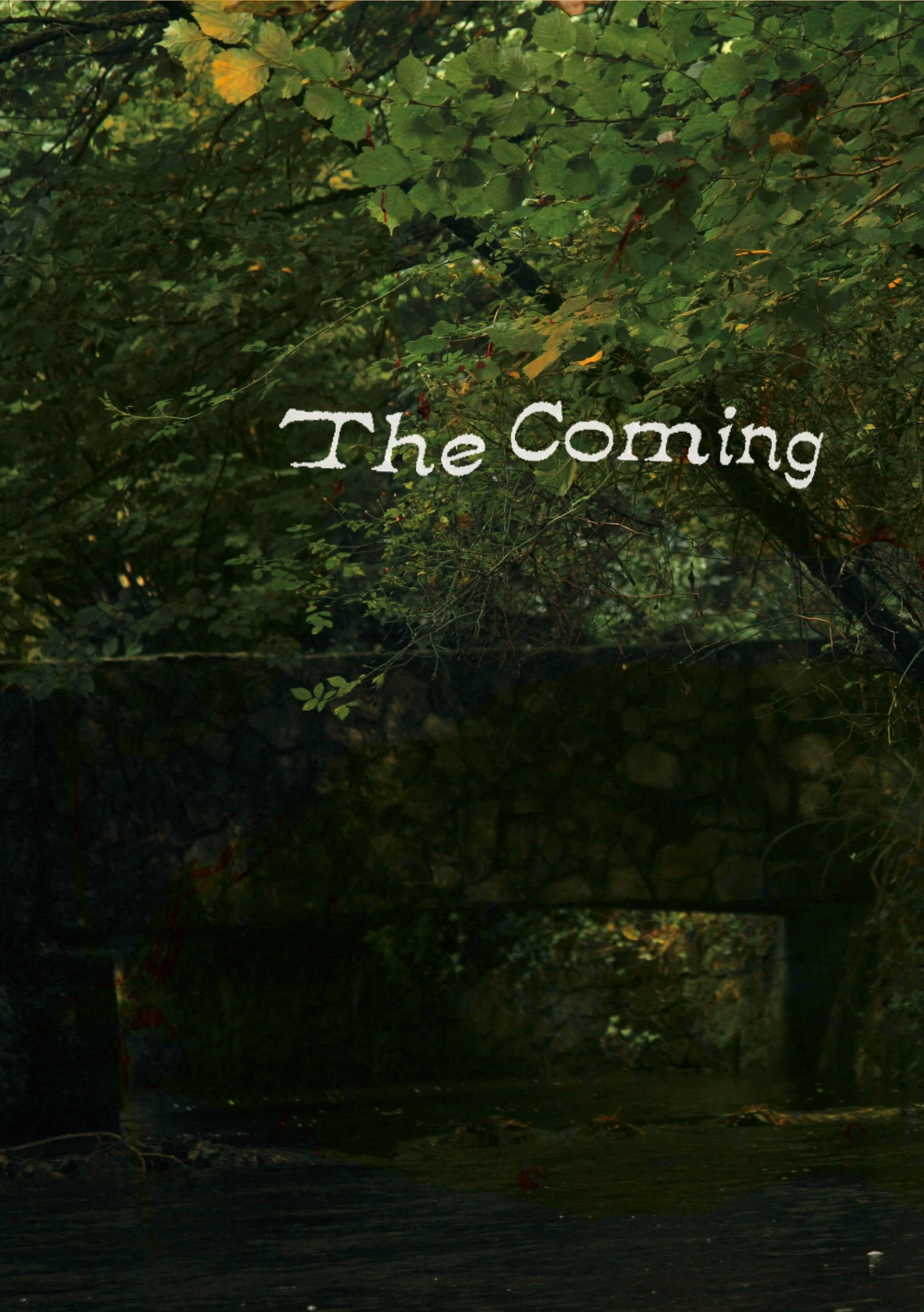 Maddie Fairy Pages.jpg