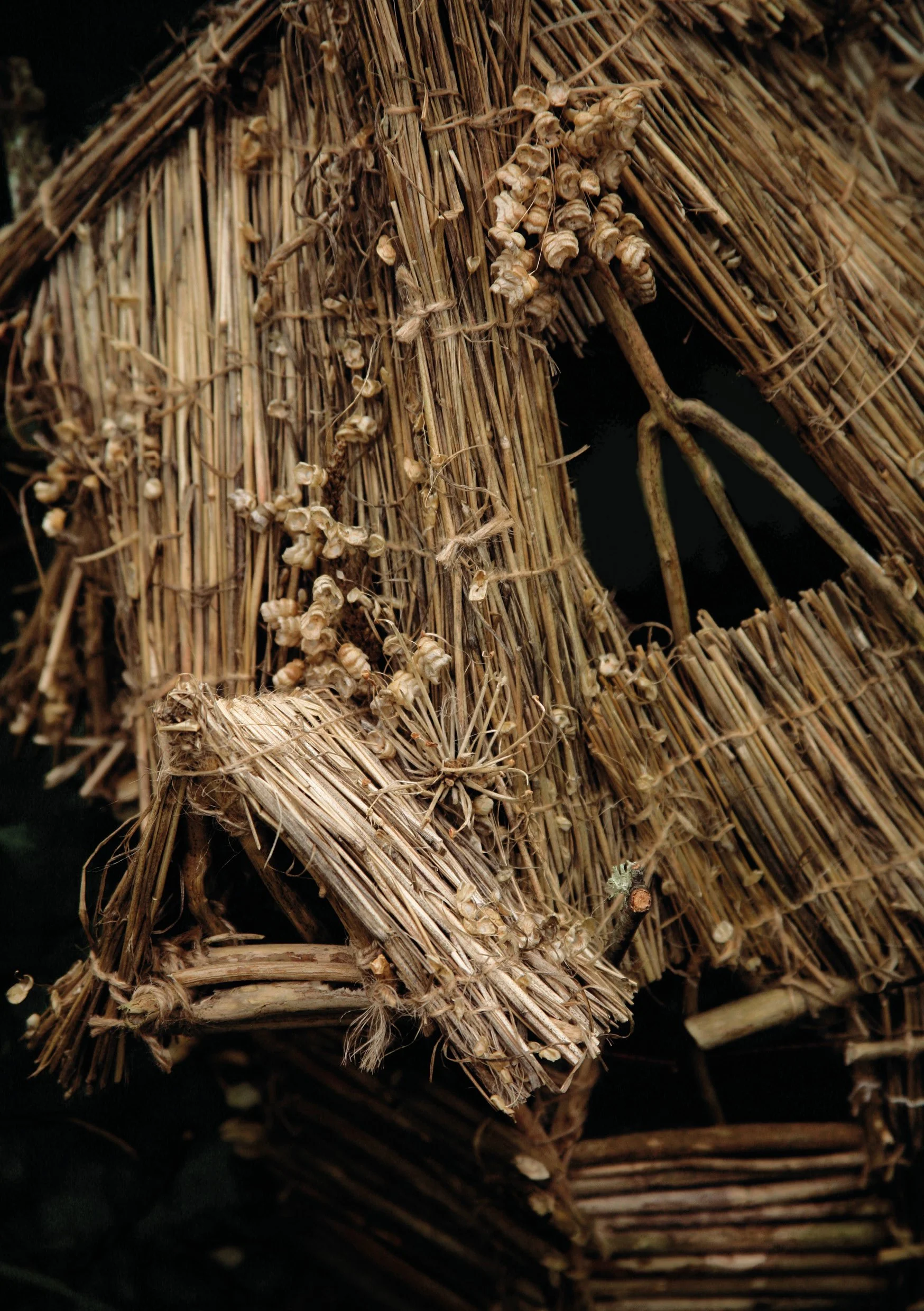 Maddie Fairy Pages3.jpg