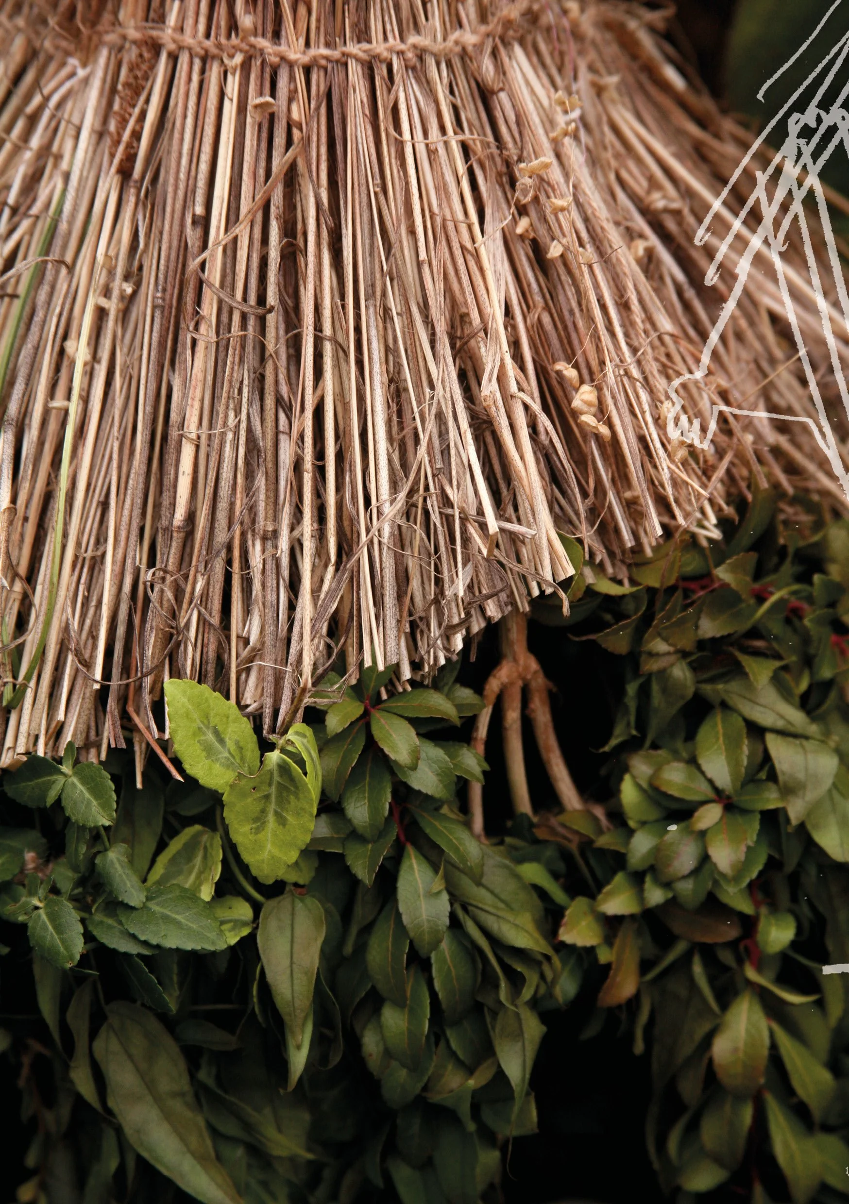 Maddie Fairy Pages7.jpg