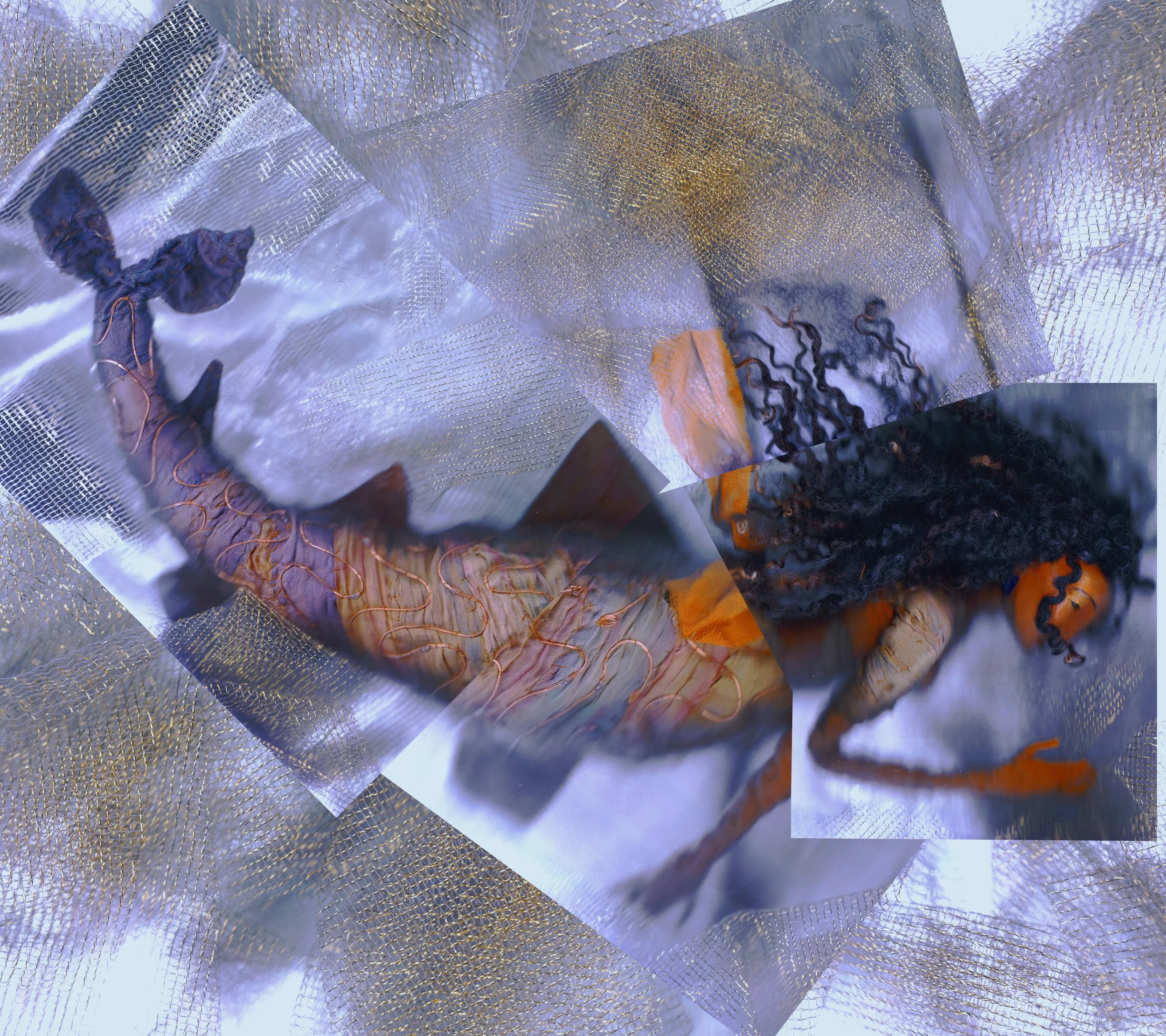 minnow collage 2.jpg