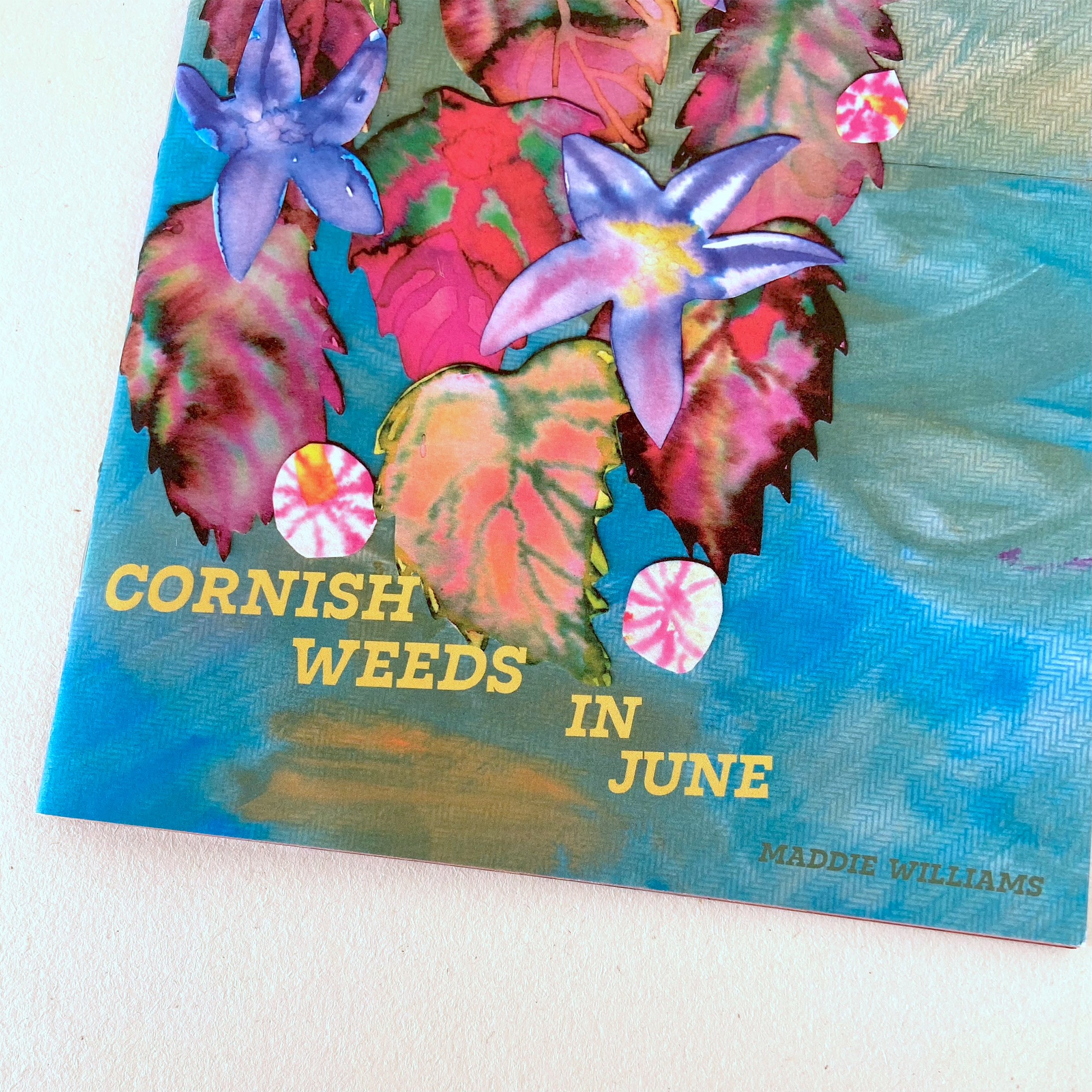 cornish weeds 4.jpg