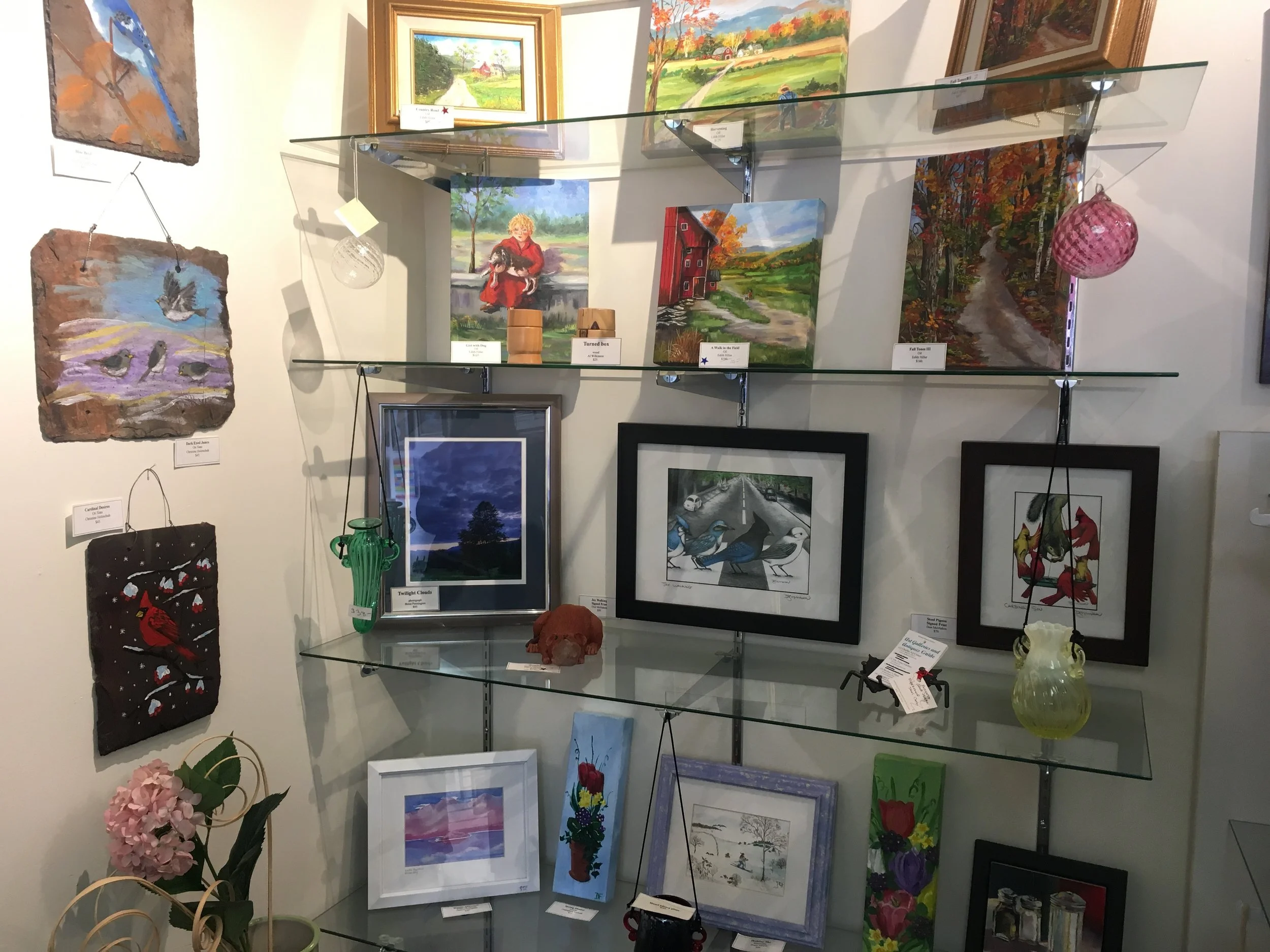timcogallery_display.jpg