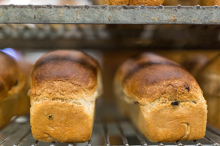 bakery_bread.jpg