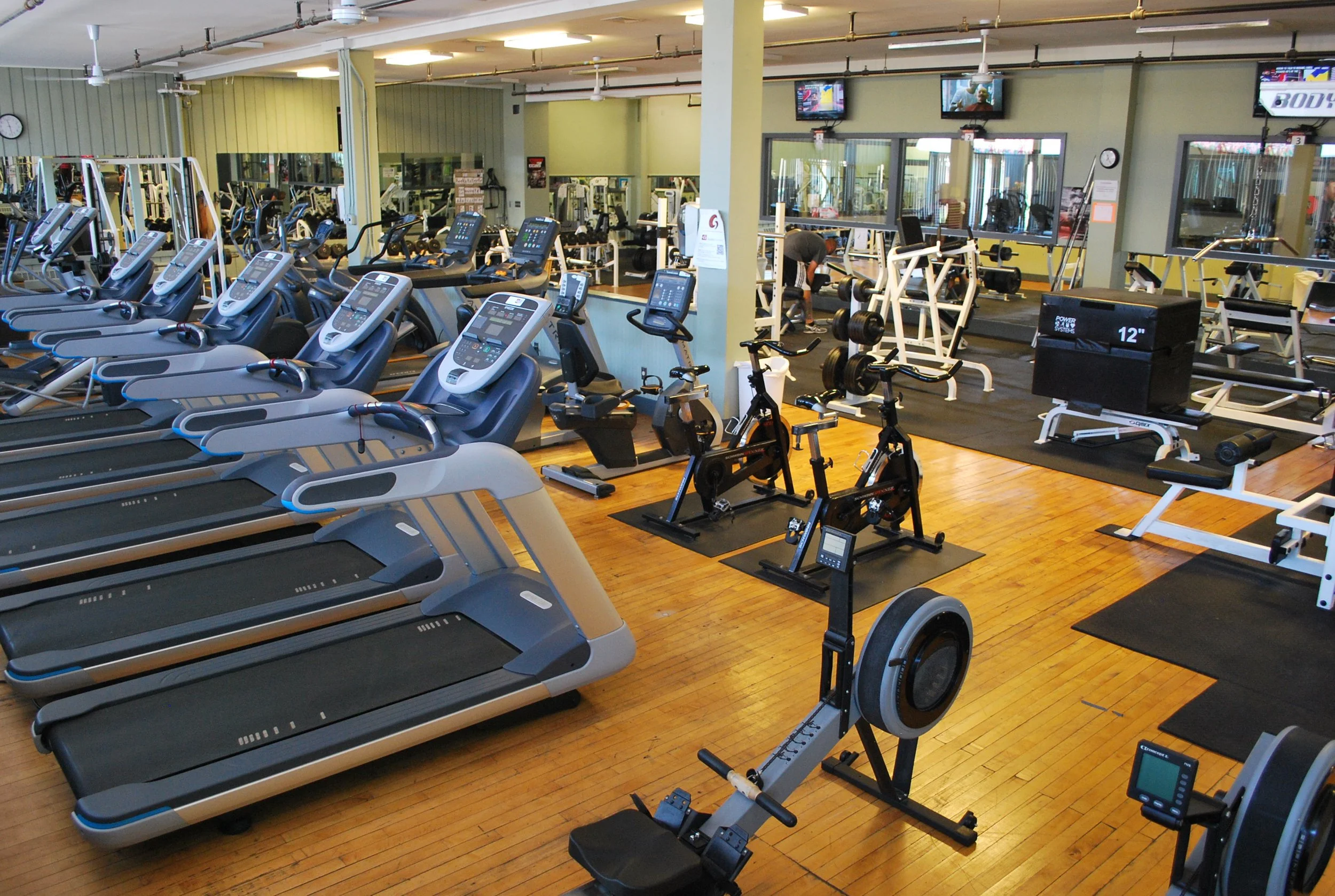 The Gymnasium