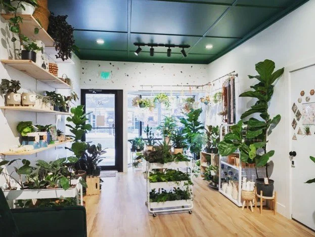 GreenSpell Plant Shop