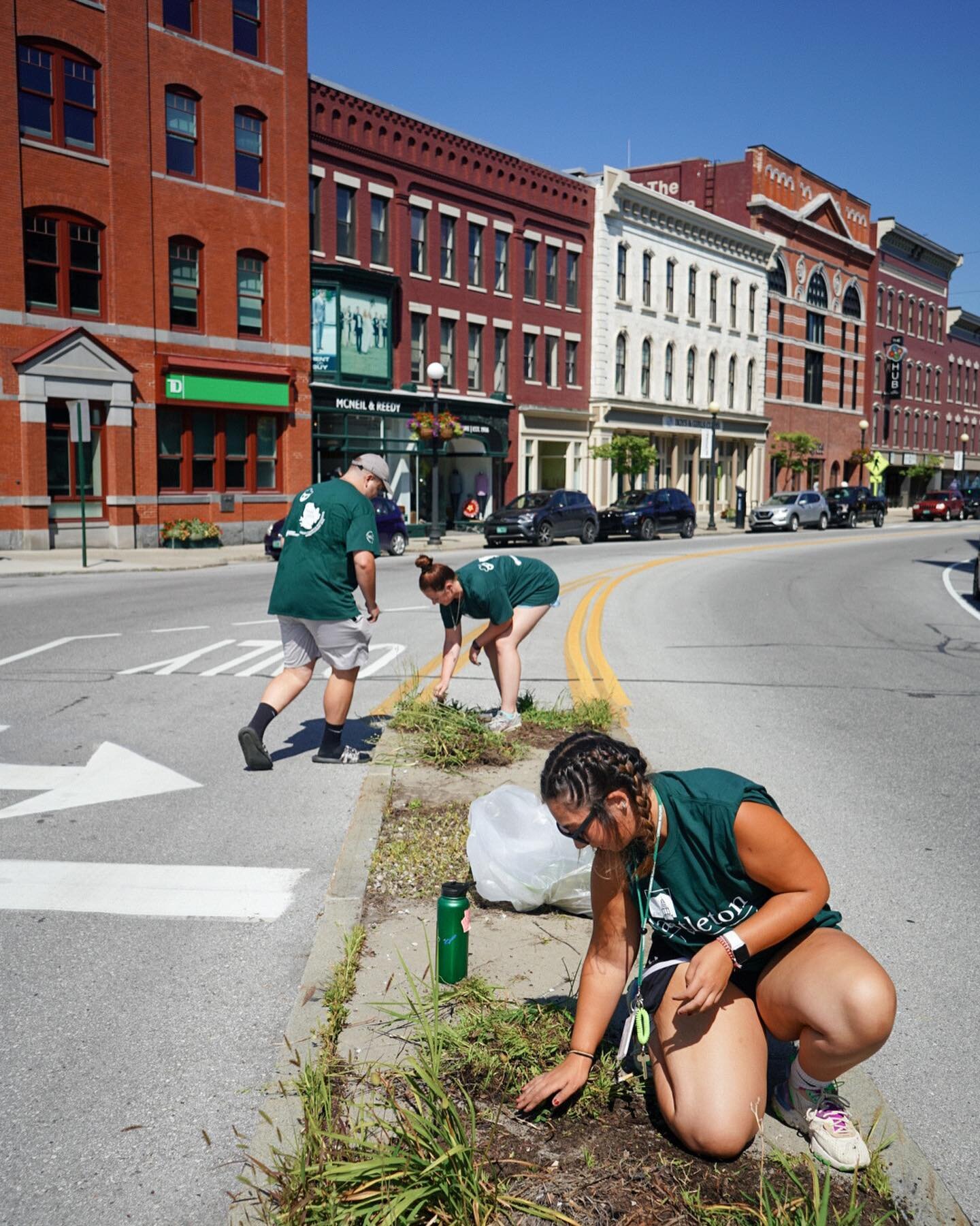 A big THANK YOU to @castletonedu for spending part of your orientation journey with Downtown Rutland! New Castleton students spent the morning participating in various projects that help to brighten up our beautiful Downtown. What a way to give back 