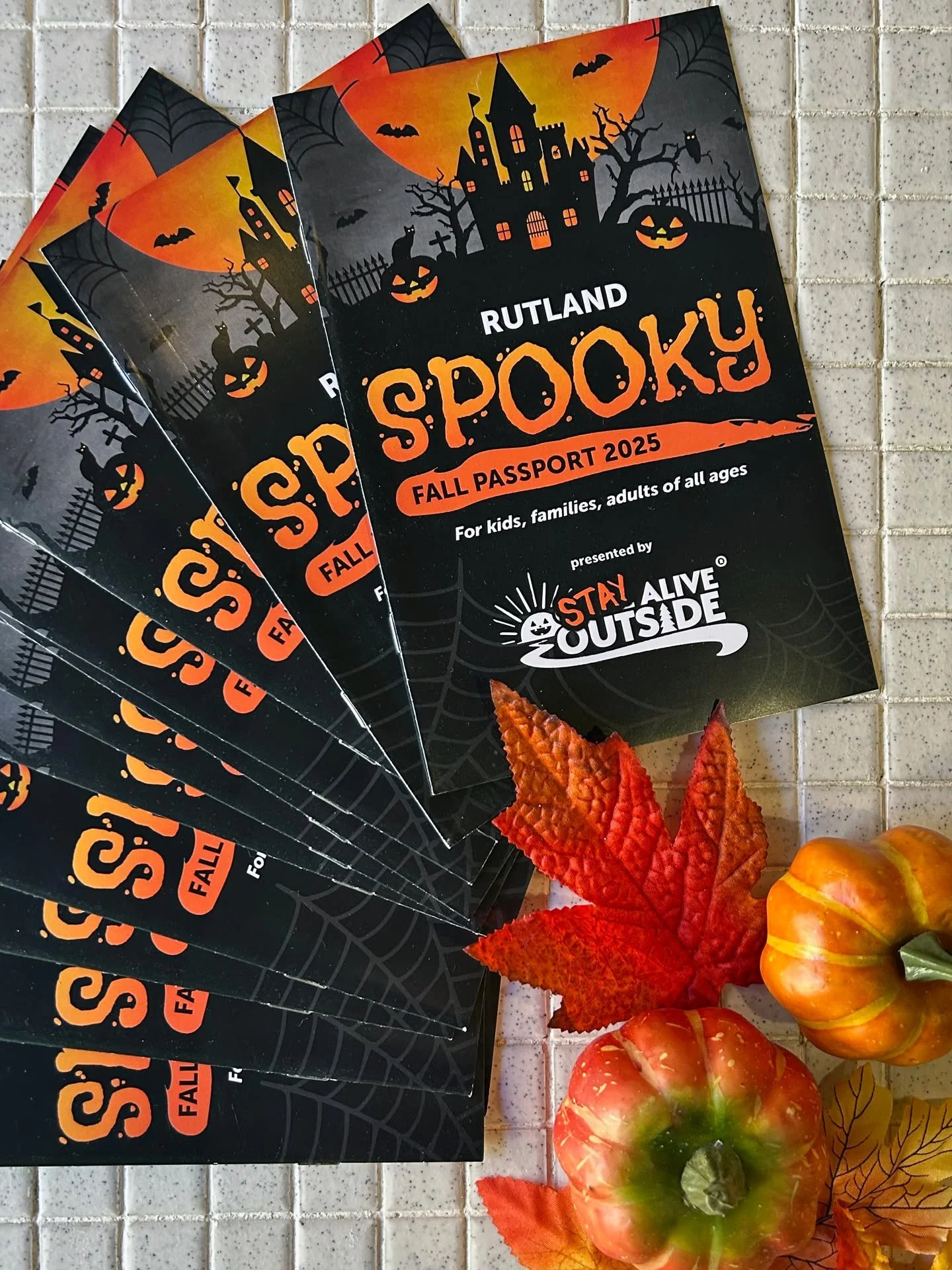 🎃👻 Come Alive Outside's Spooky Passport is now LIVE!🎃👻 

Get ready for a month packed with fall fun, community adventures, and just the right amount of spookiness! From pumpkin patches and ghost hunts to cozy Halloween crafts, you'll find everyth