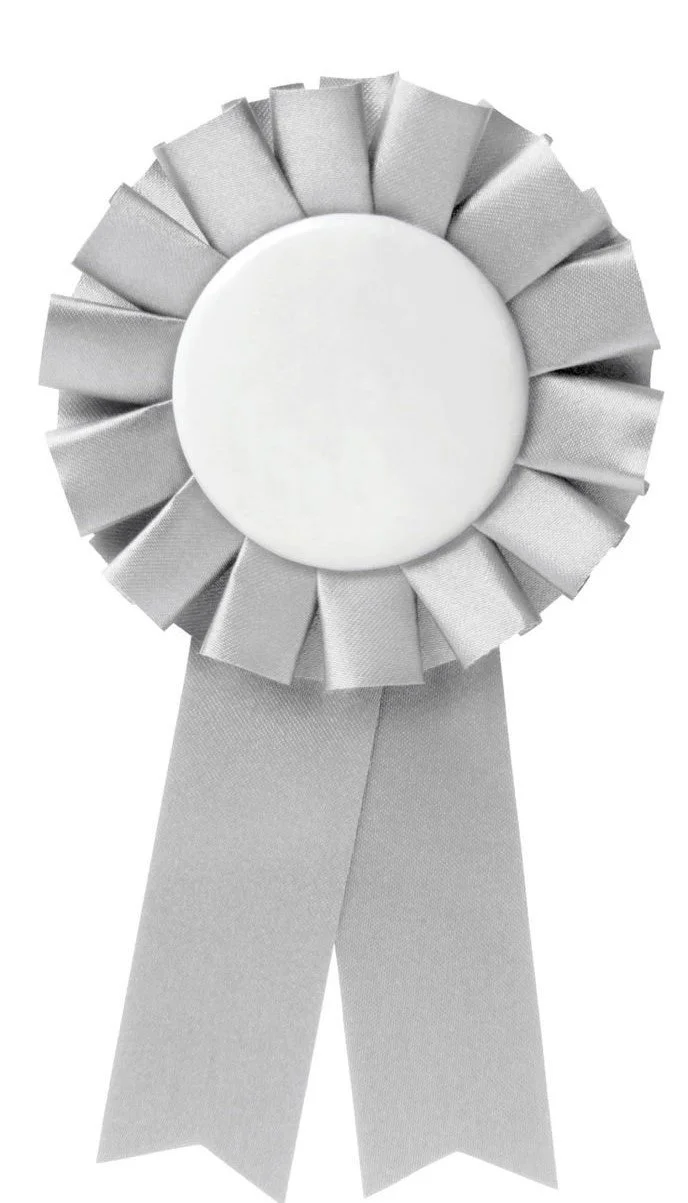 silver ribbon.jpg