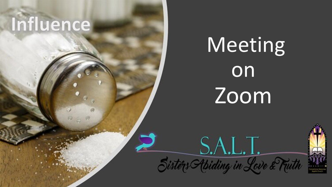 S.A.L.T. Ministry Meeting on Zoom