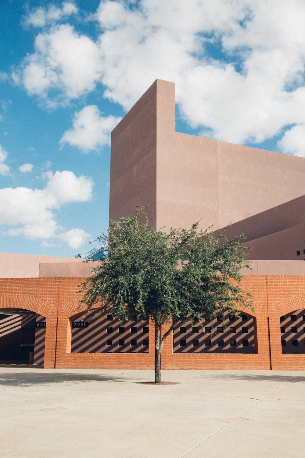 the+lonely+tree+ASU+architecture.jpeg