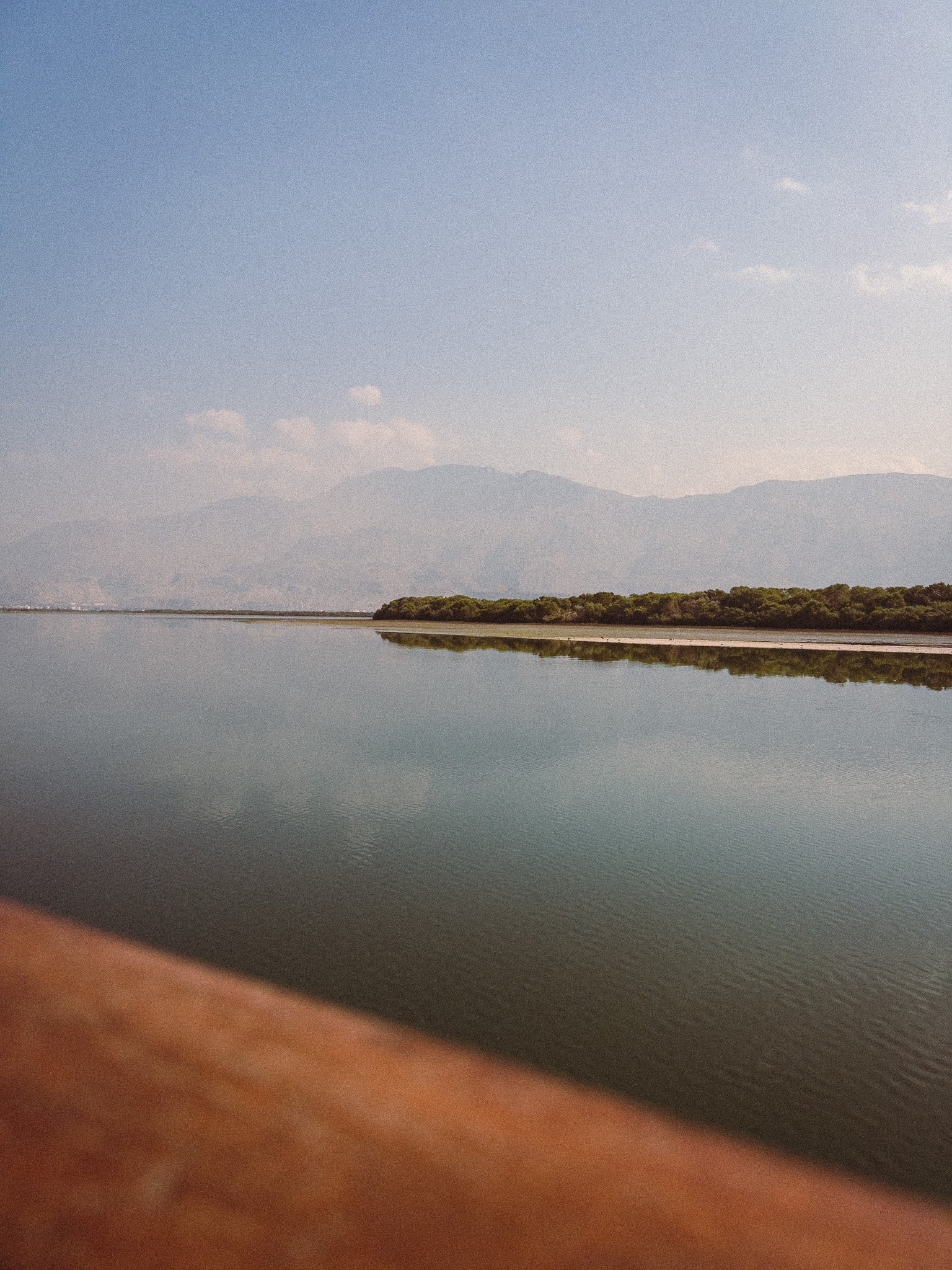 A Living Archive of the Sea