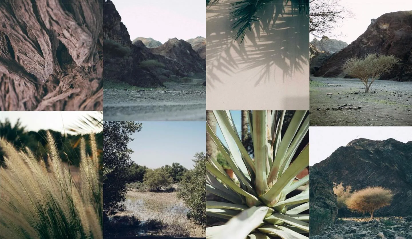 Landscapes and life shapes from various UAE adventures aka Unlimited design inspiration aka leave your desk.
