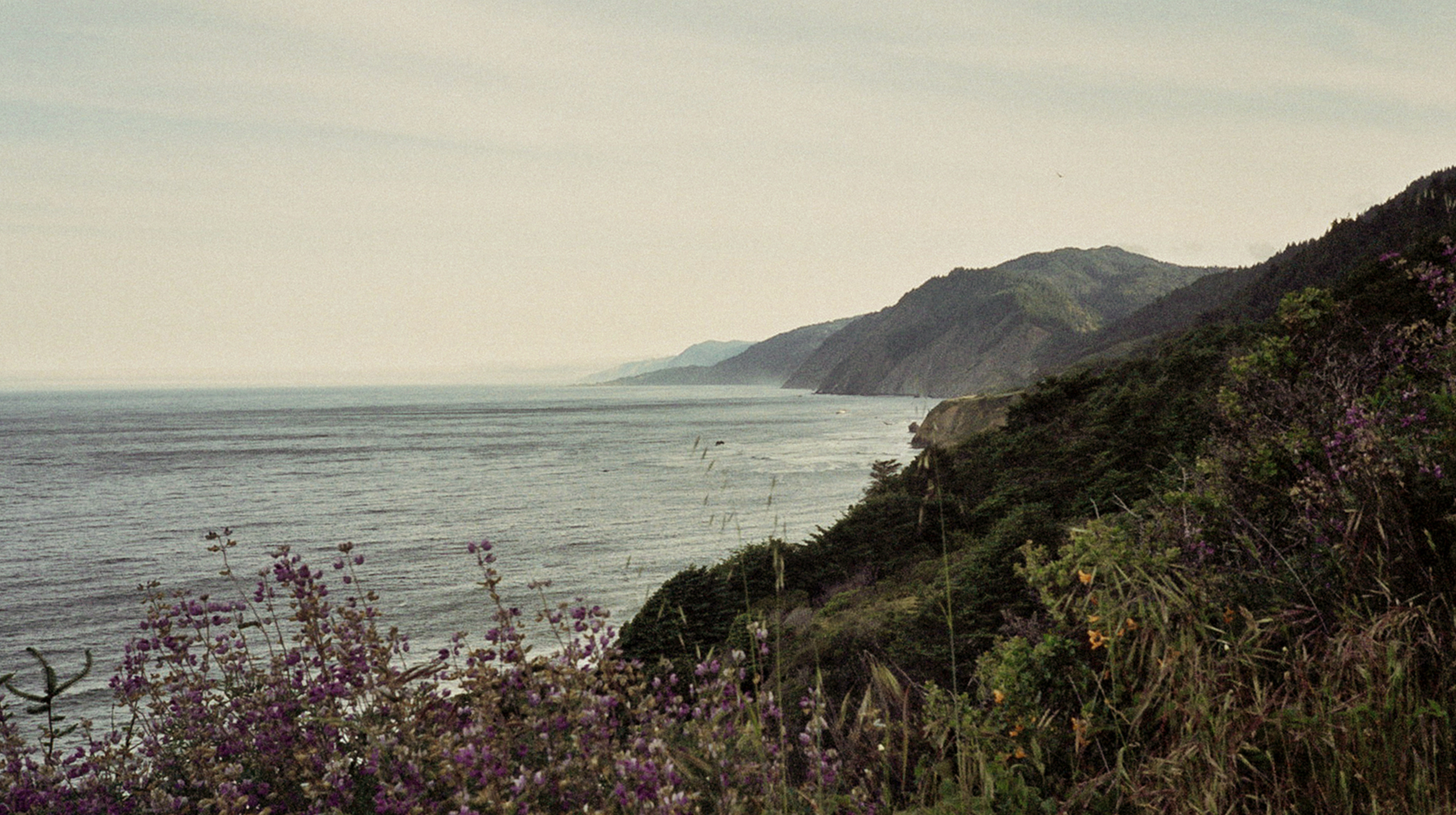 image-1b.jpg