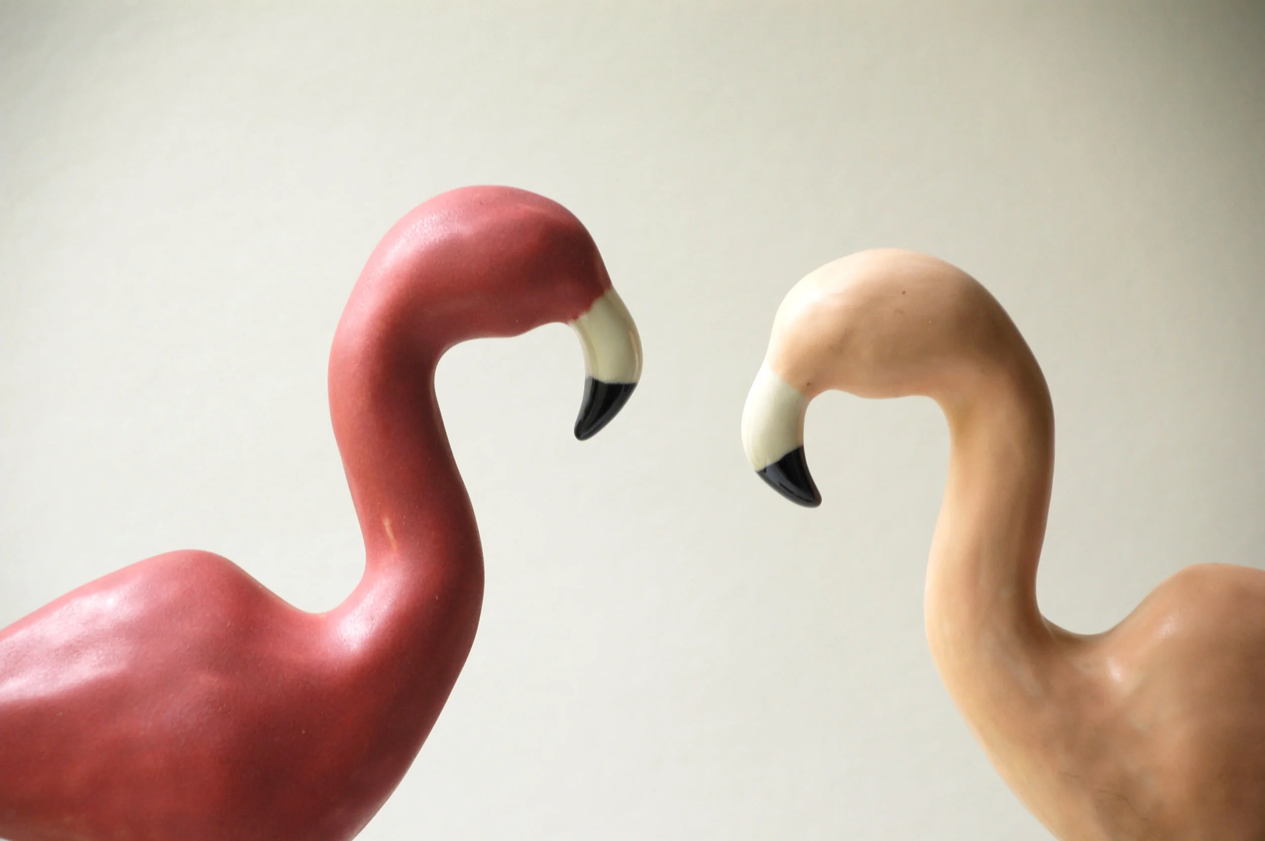 flamingo 3.jpg