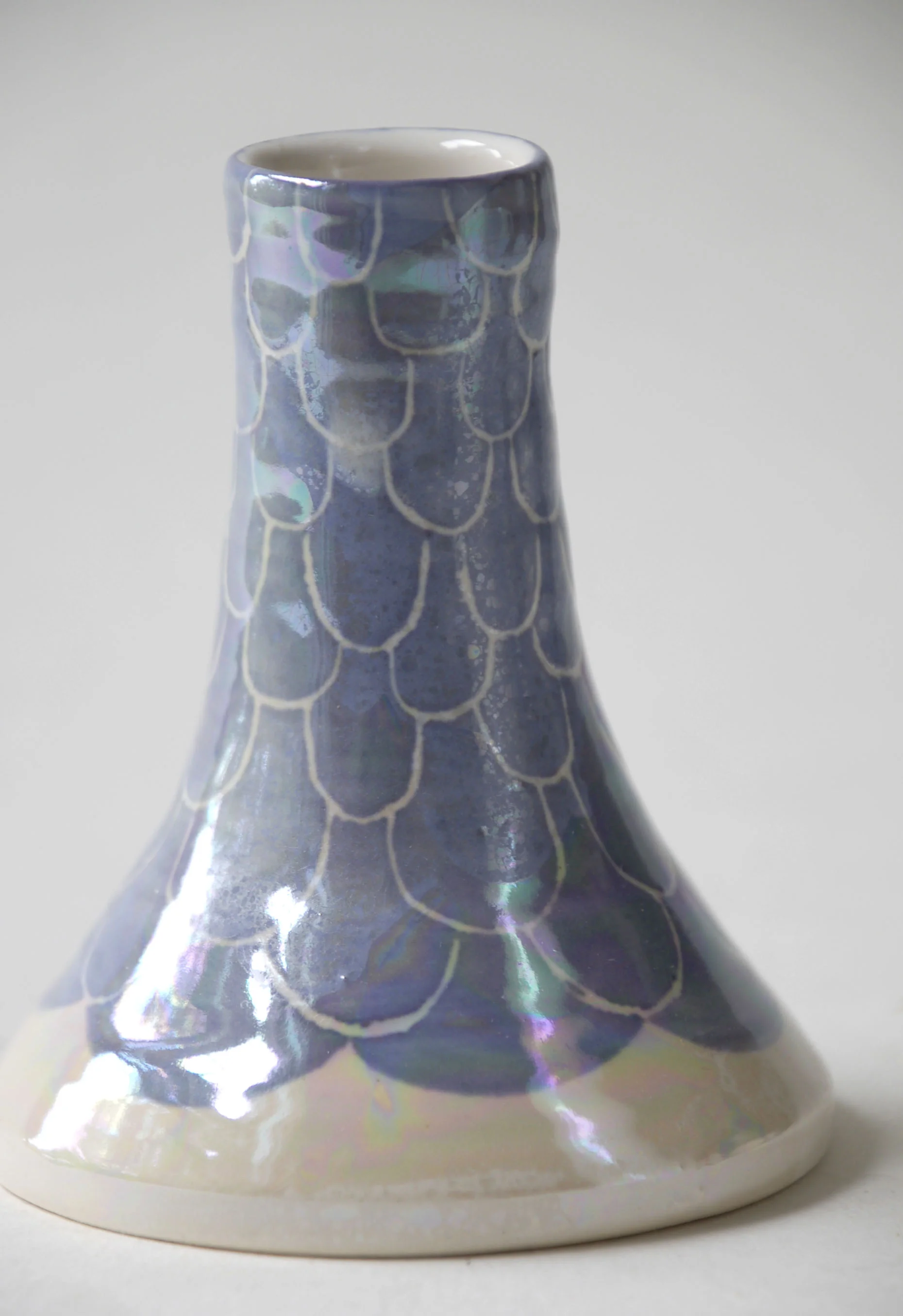 blue bud 4.jpg