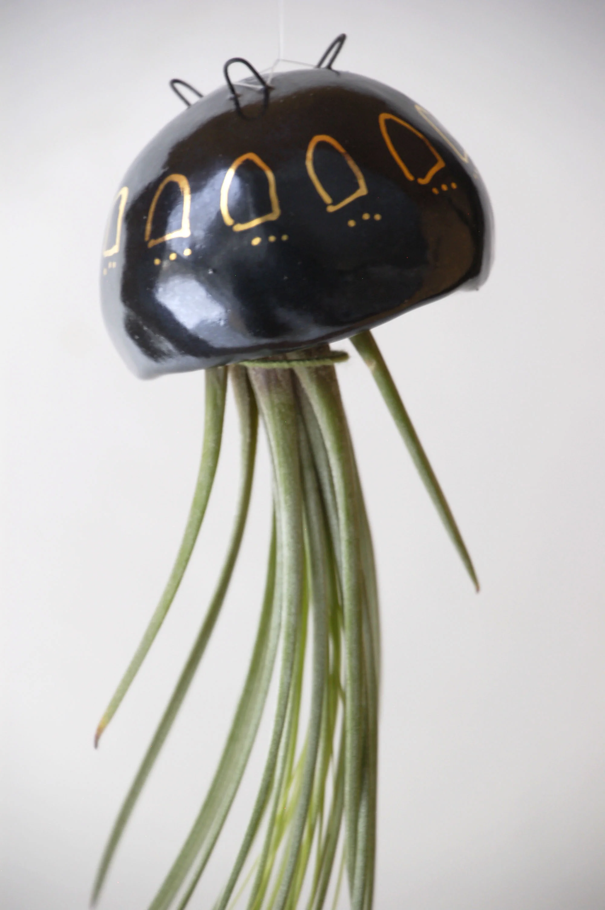 Jelly Black Small 1-2.jpg