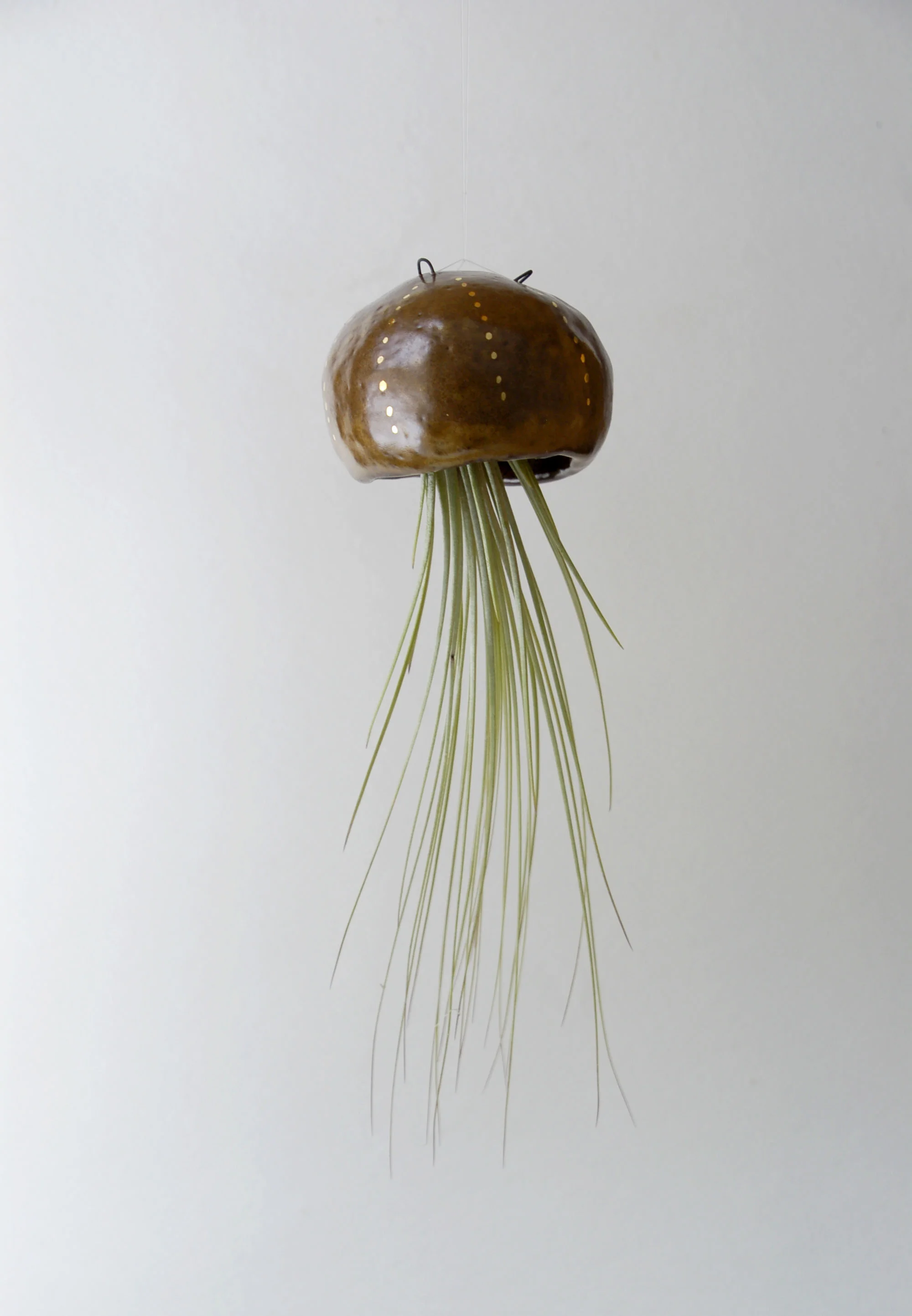 Jelly Brown Large 1-1.jpg