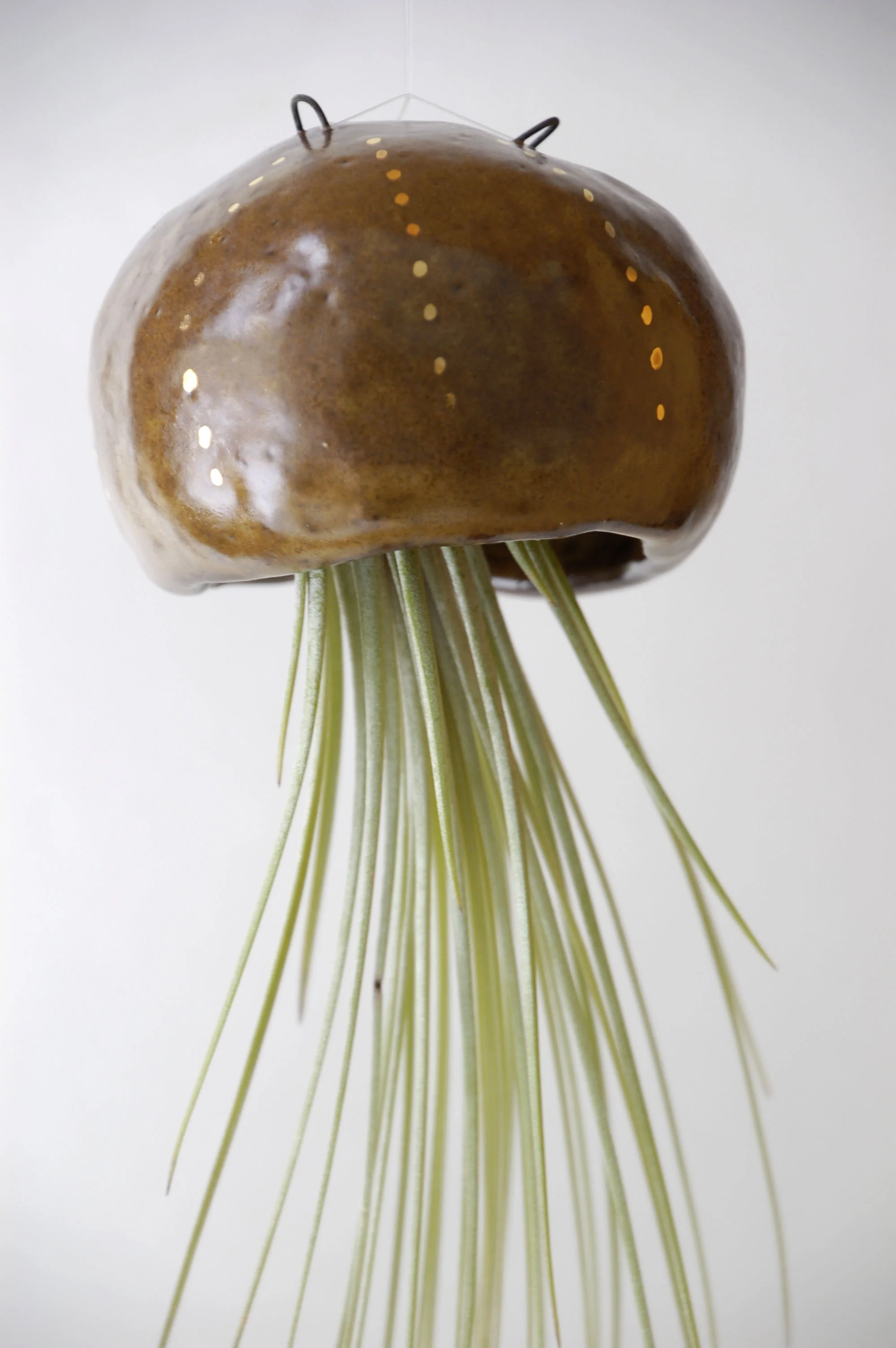 Jelly Brown Large 1-2.jpg