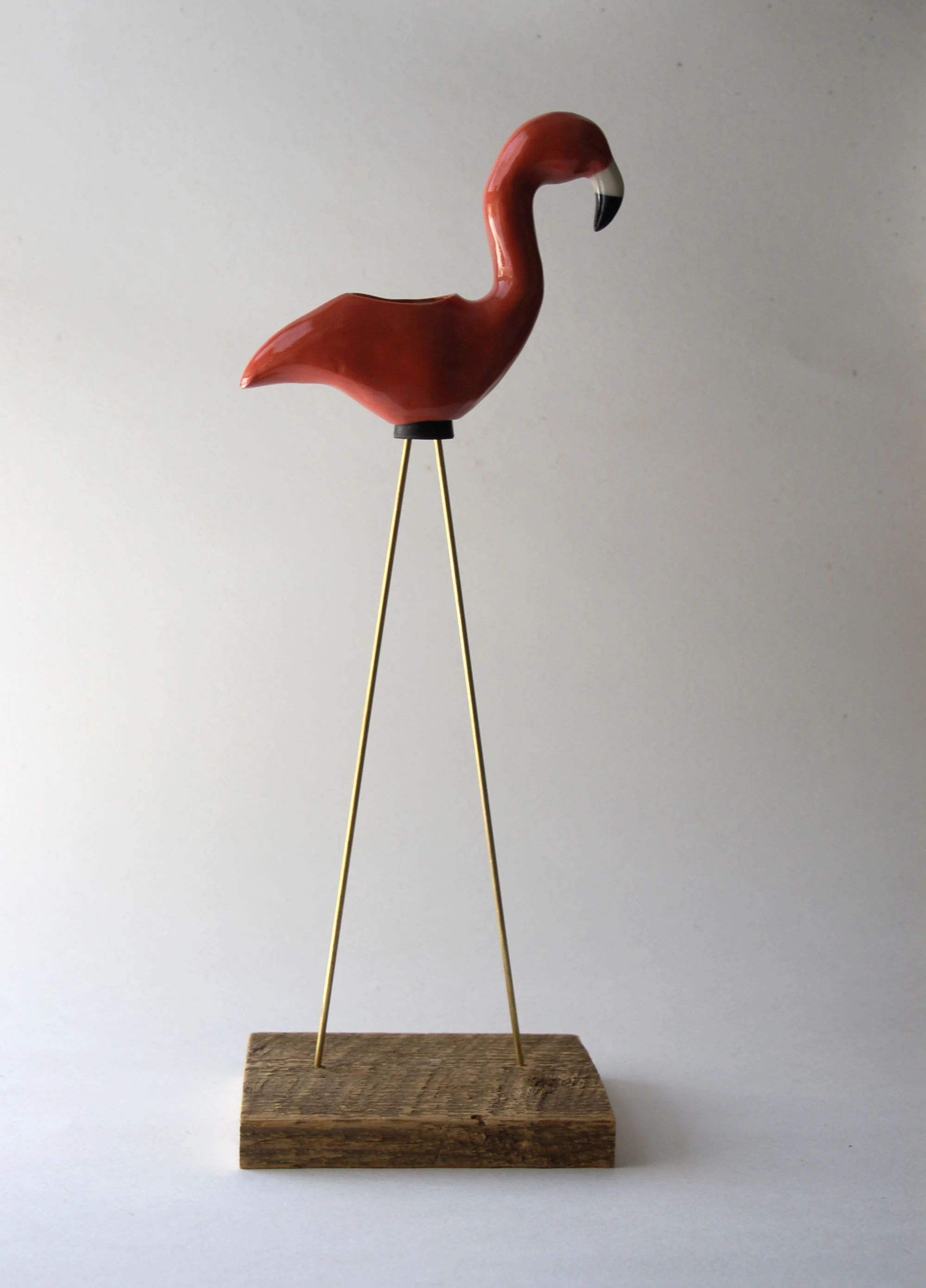 Flamingo 1.jpg
