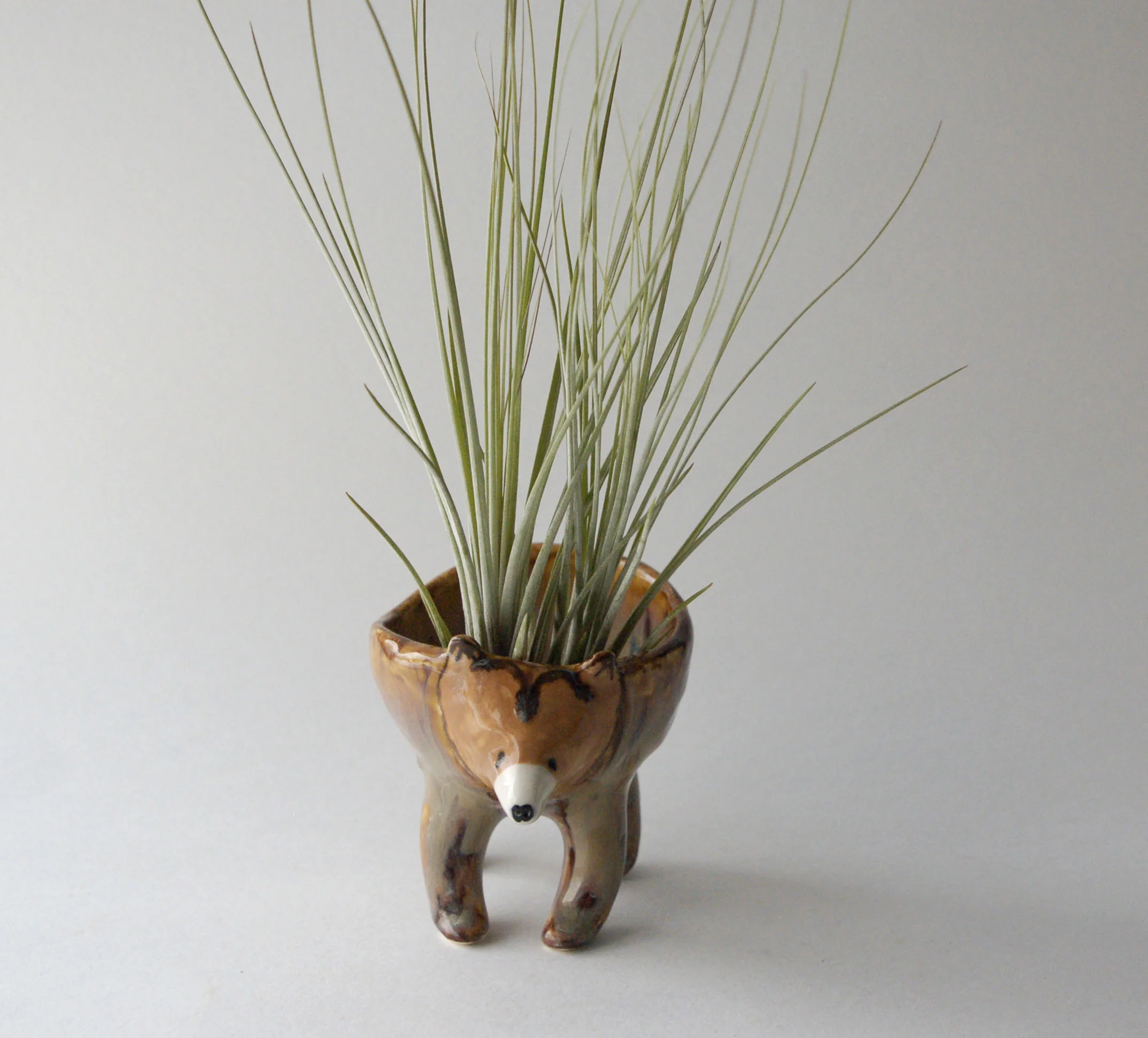 Bear Bowl 4.jpg