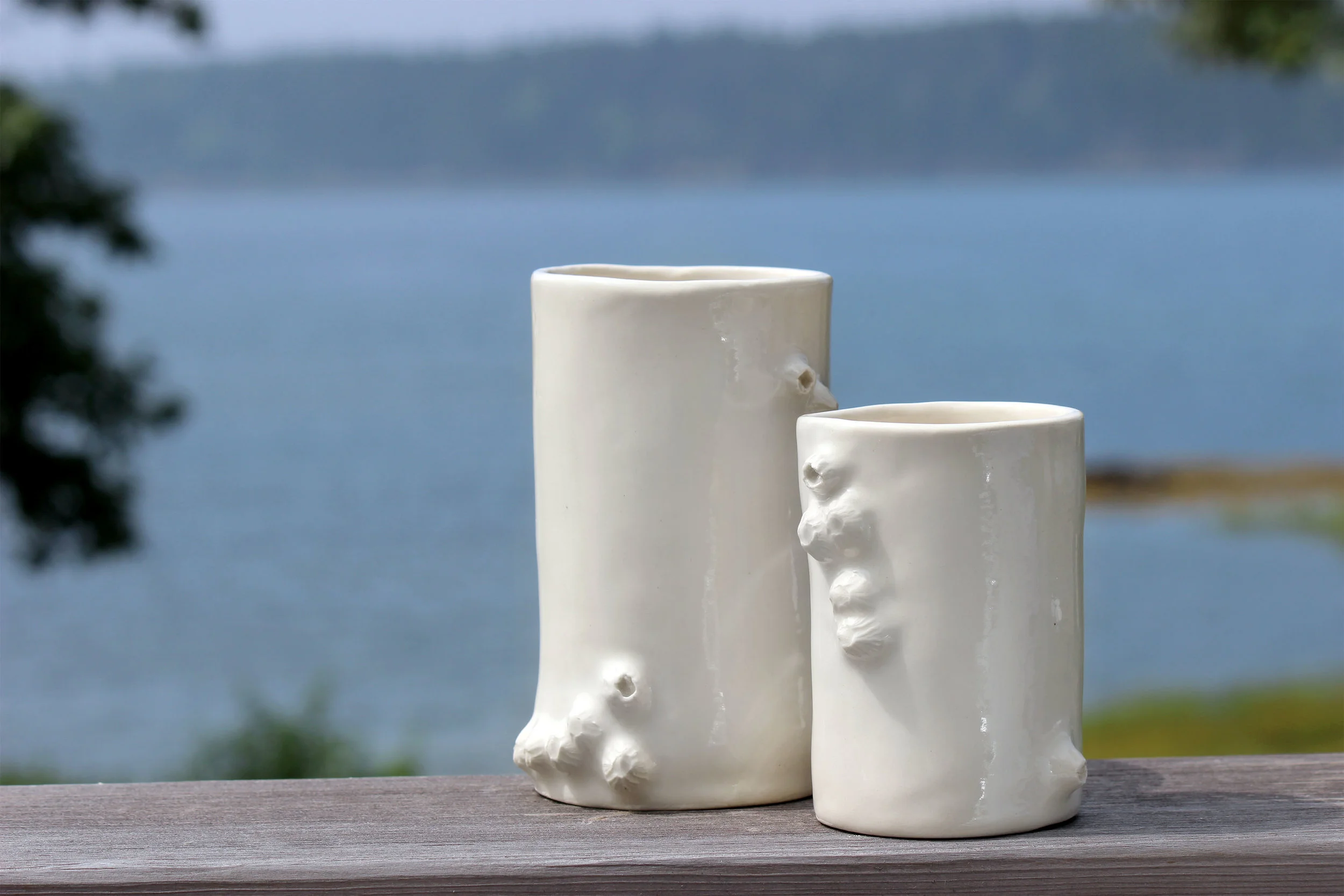 1 Barnacle Cups.jpg