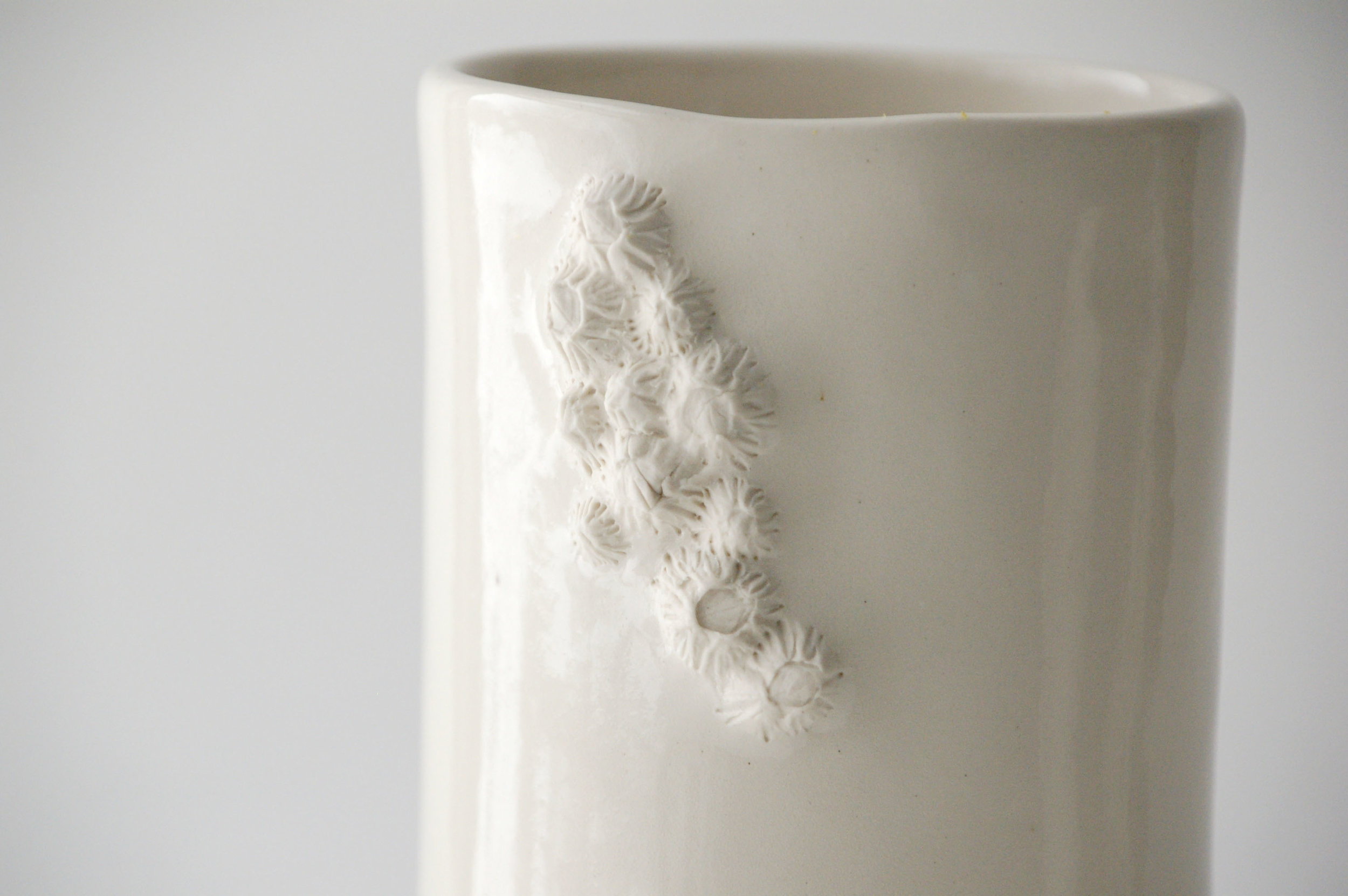 Barnacle Vase Closeup.jpg