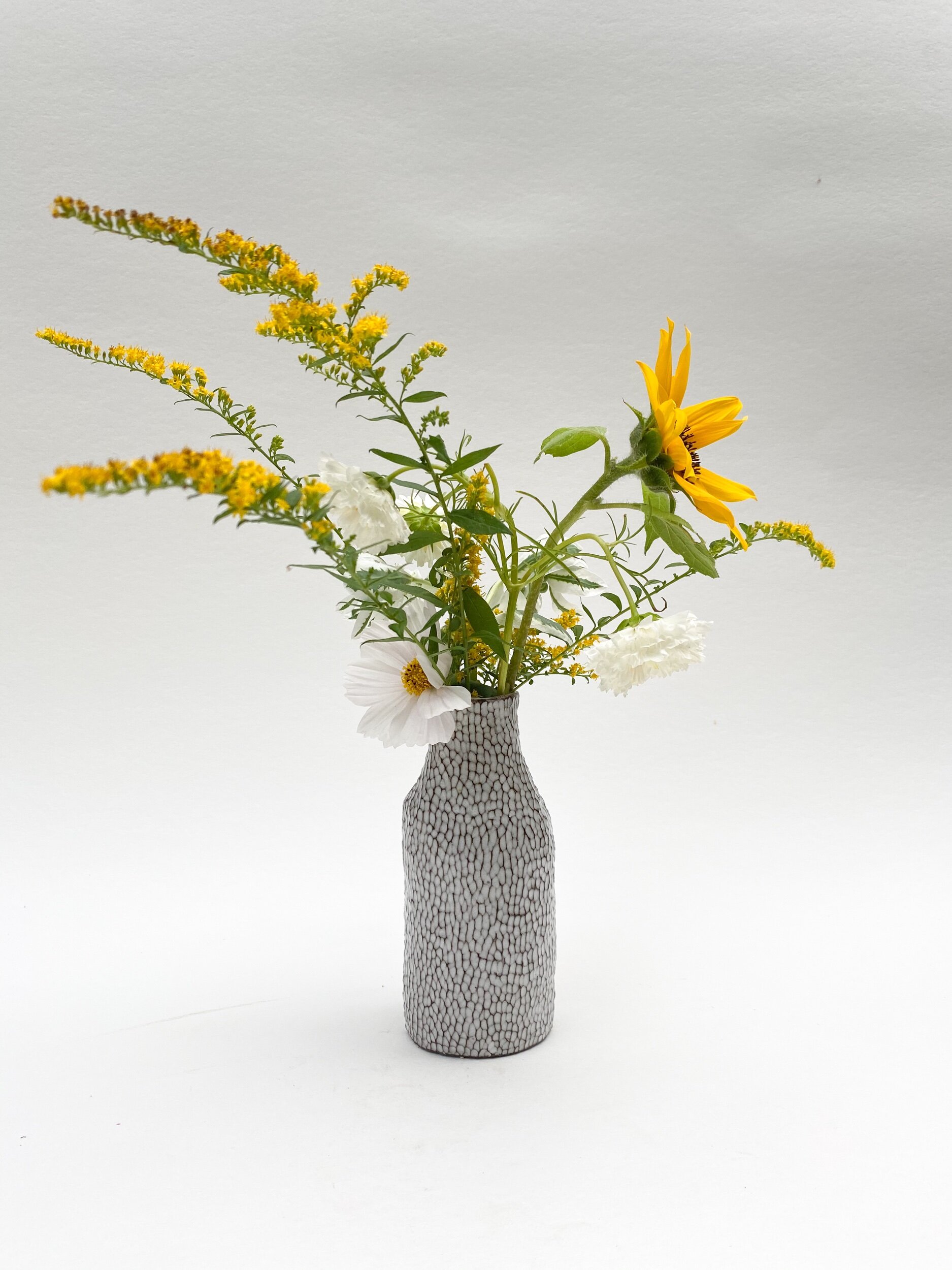 7DA8521F-8579-47F0-B372-FA3FD4E2A094