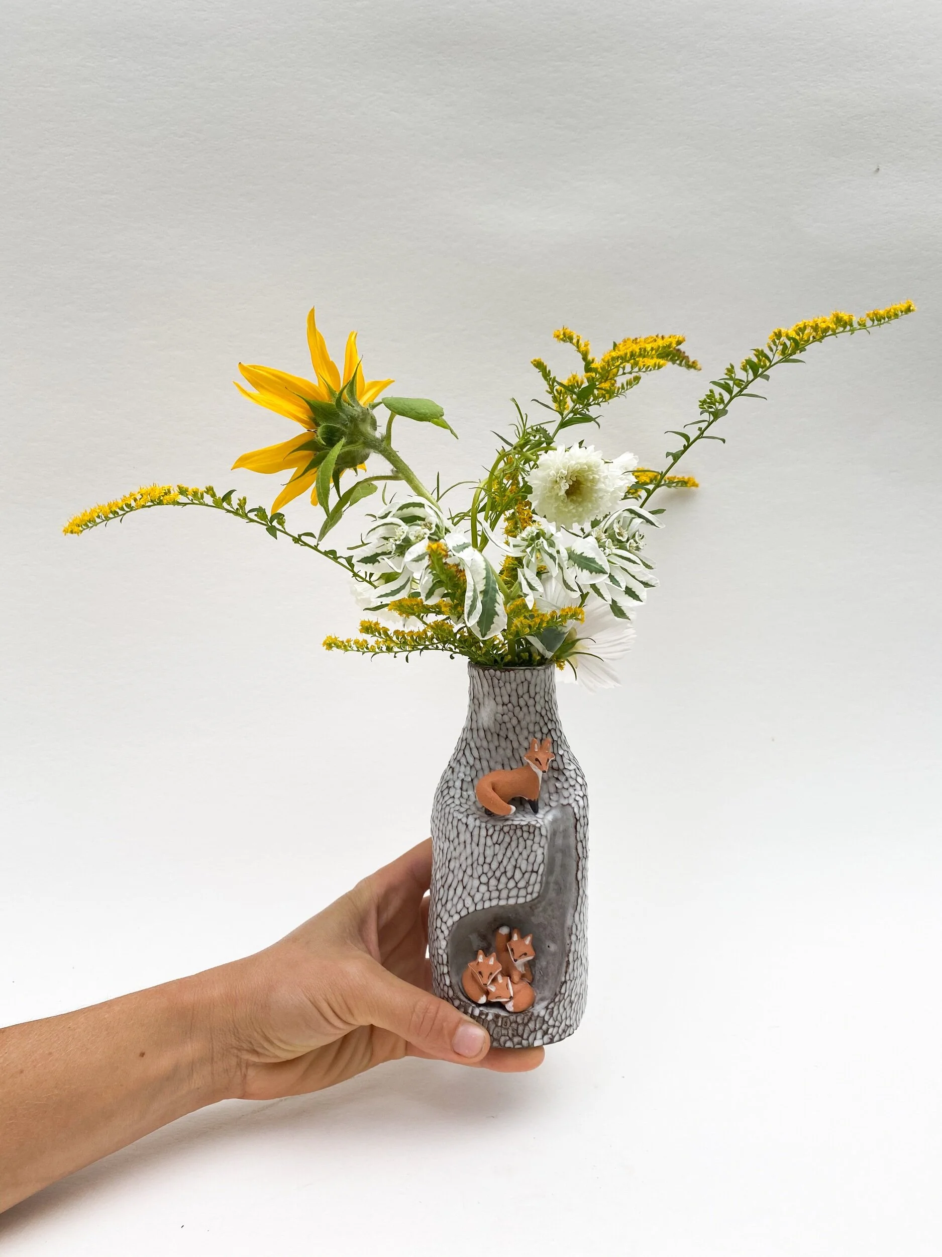 E7307167-2C62-469D-9449-4338EDBA7980