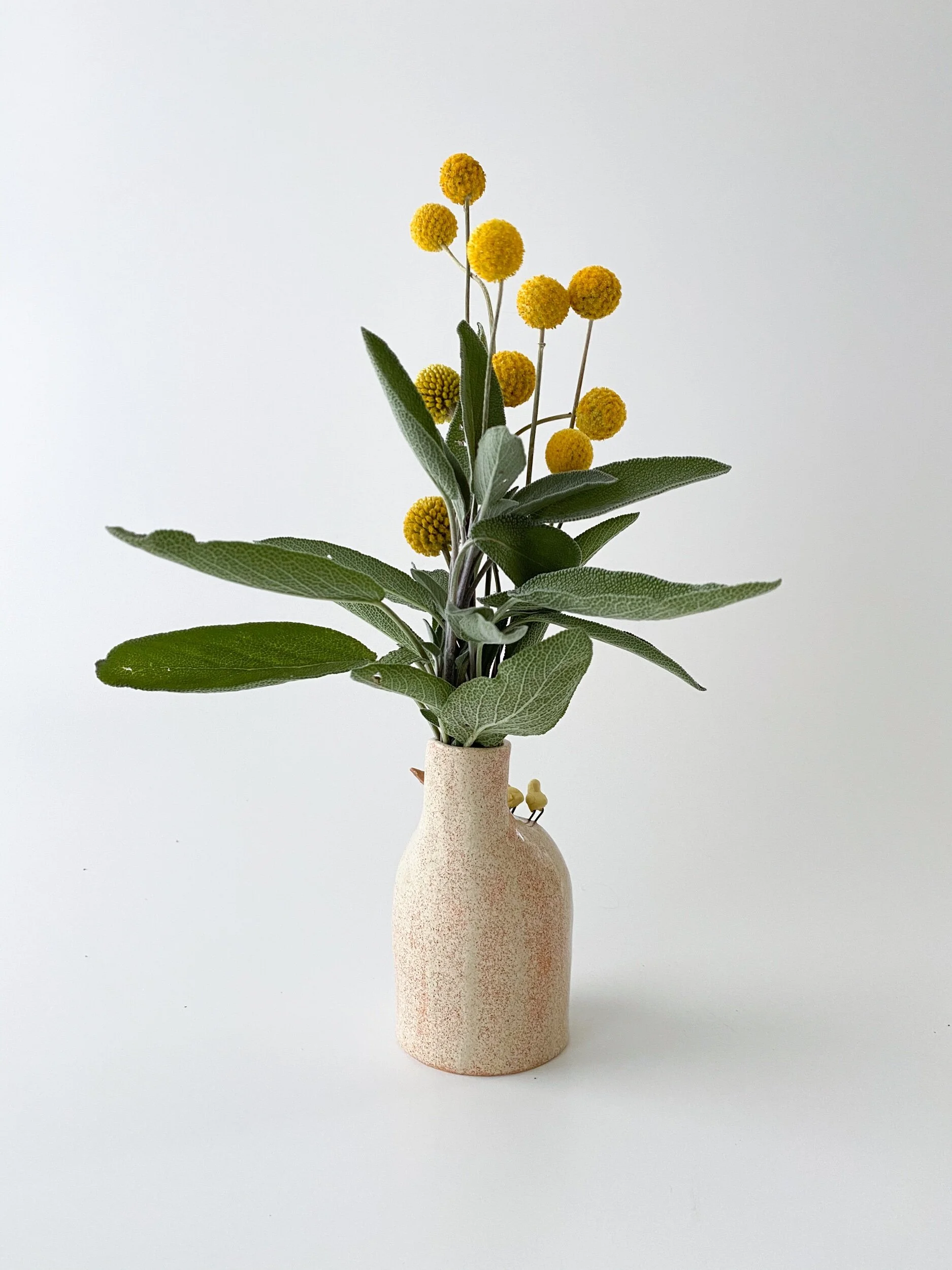 77D717CB-F672-4BD1-ACC0-3C2283A265F3